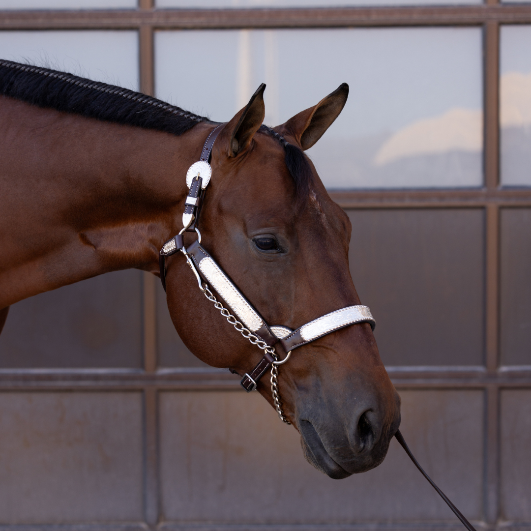 Sterling Overlay Halters