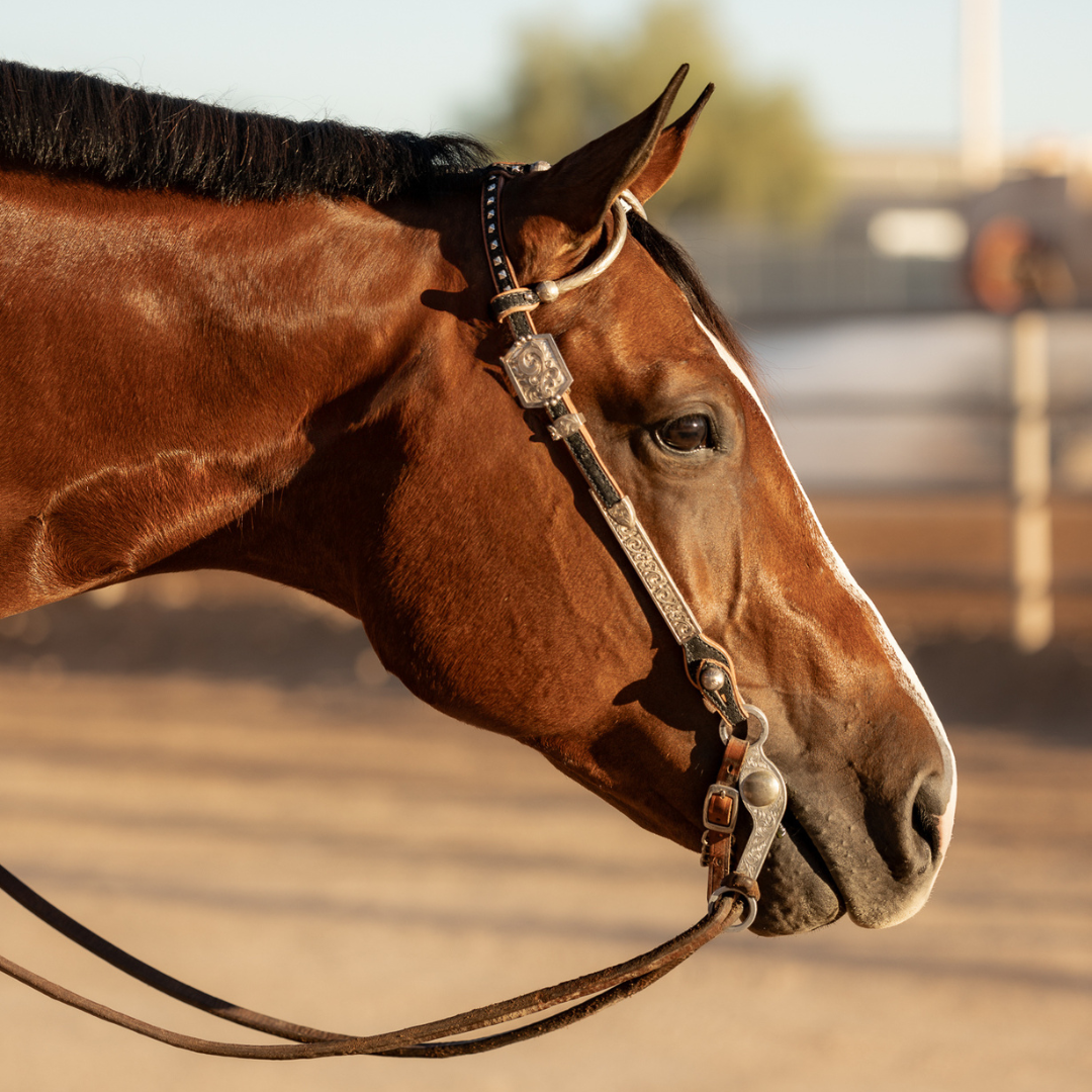 Sterling Overlay Headstalls