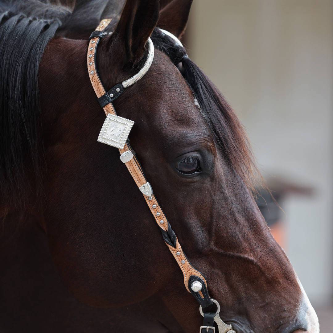 Santana Headstalls