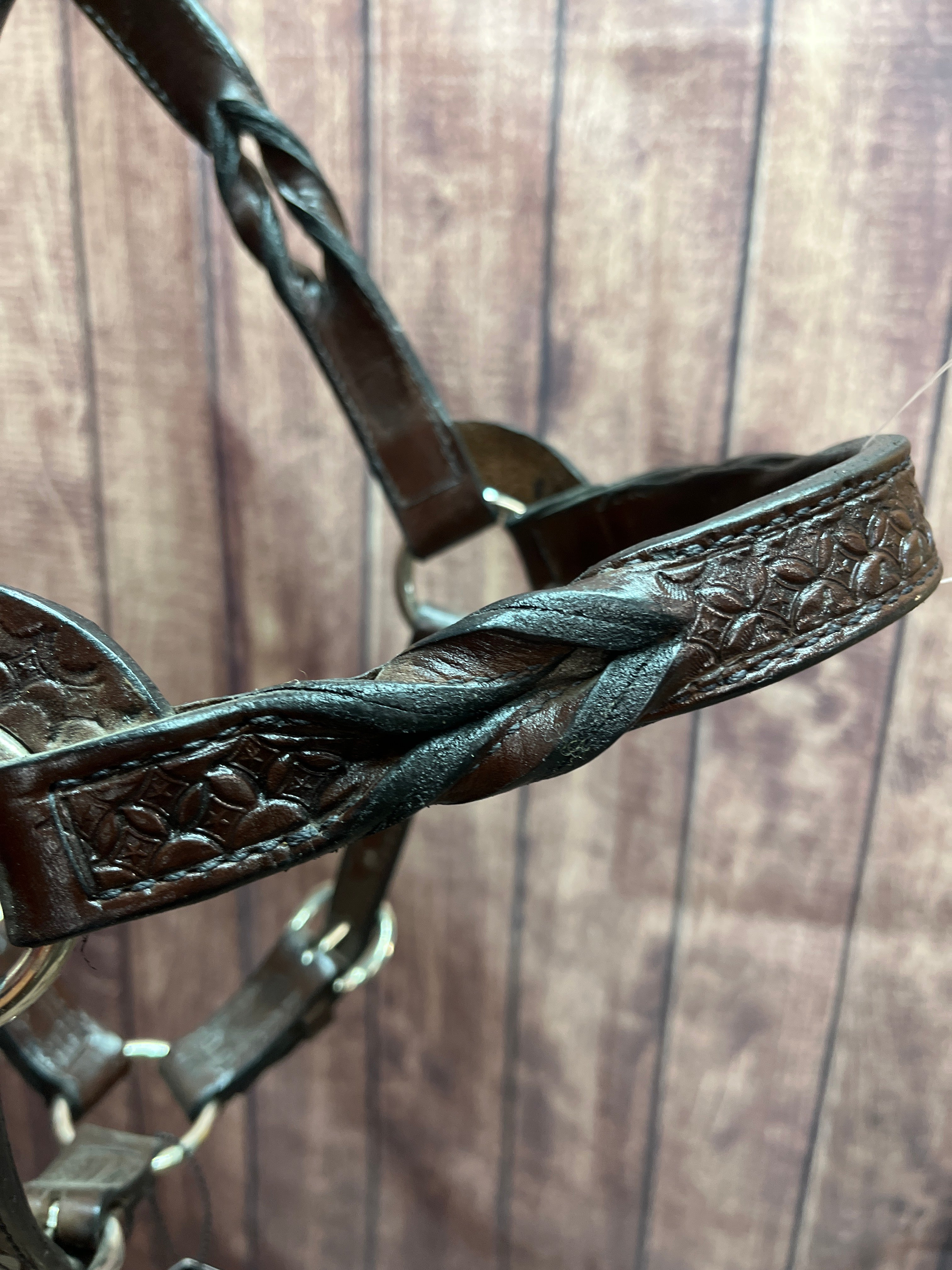 Tooled Halter #42 2Yr/Mare