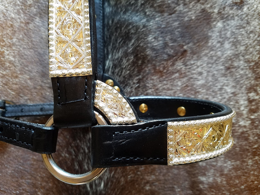 #102 Santana Halter