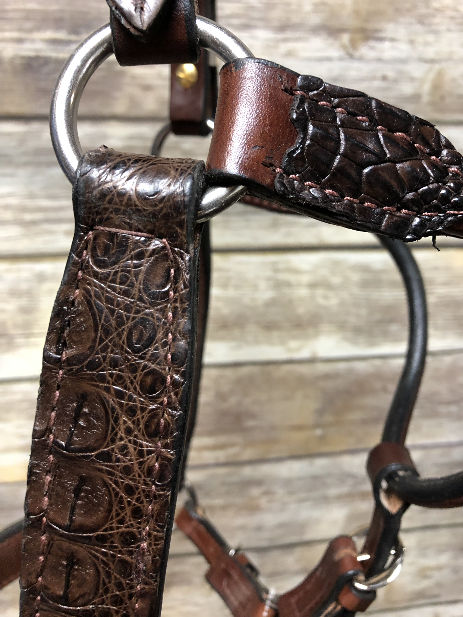Caiman Halter