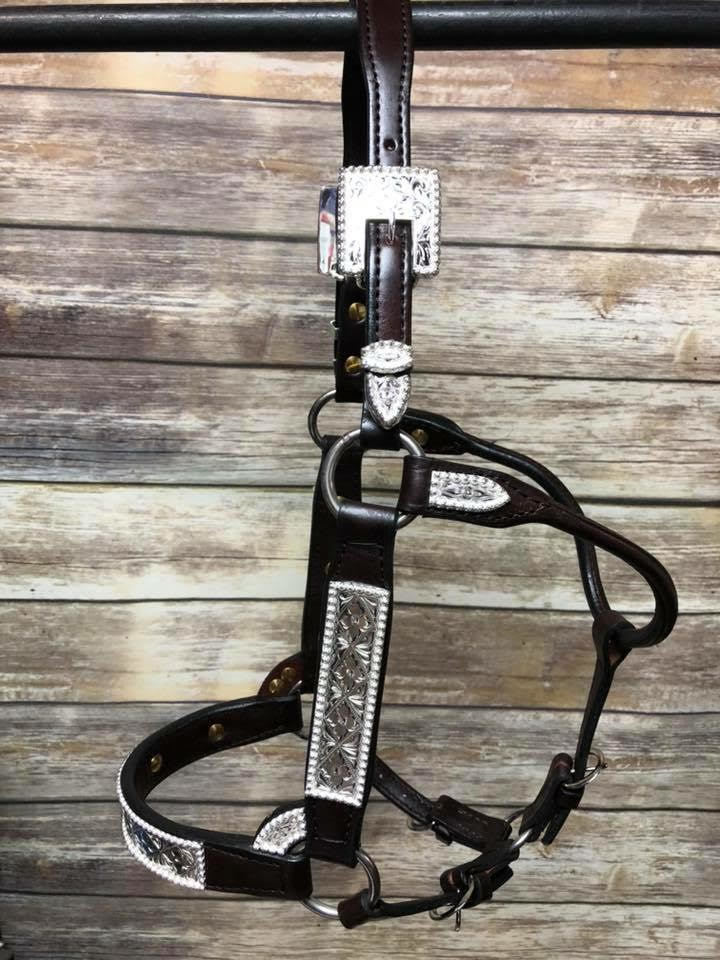 #102 Santana Halter