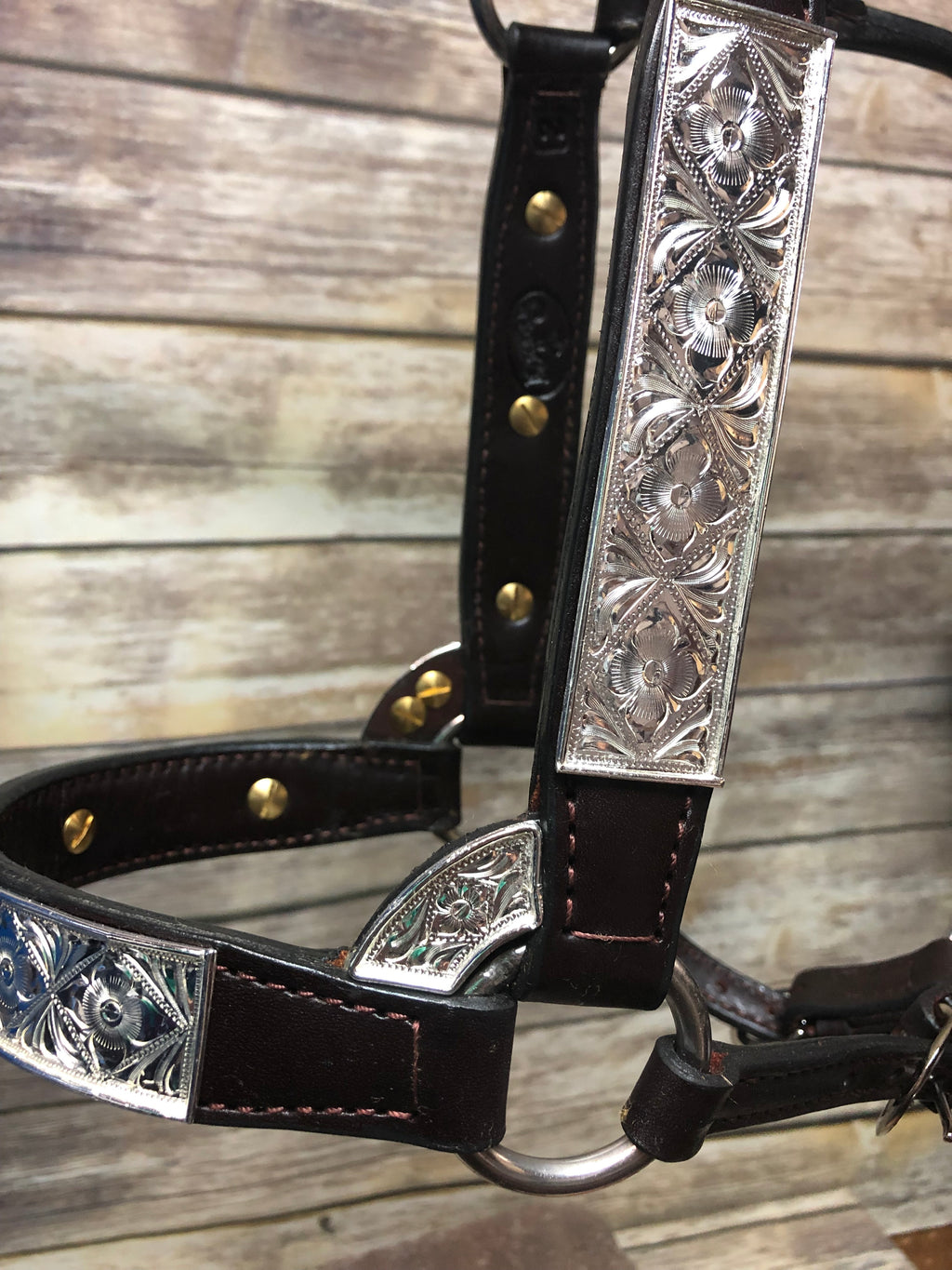 #104 Santana Halter