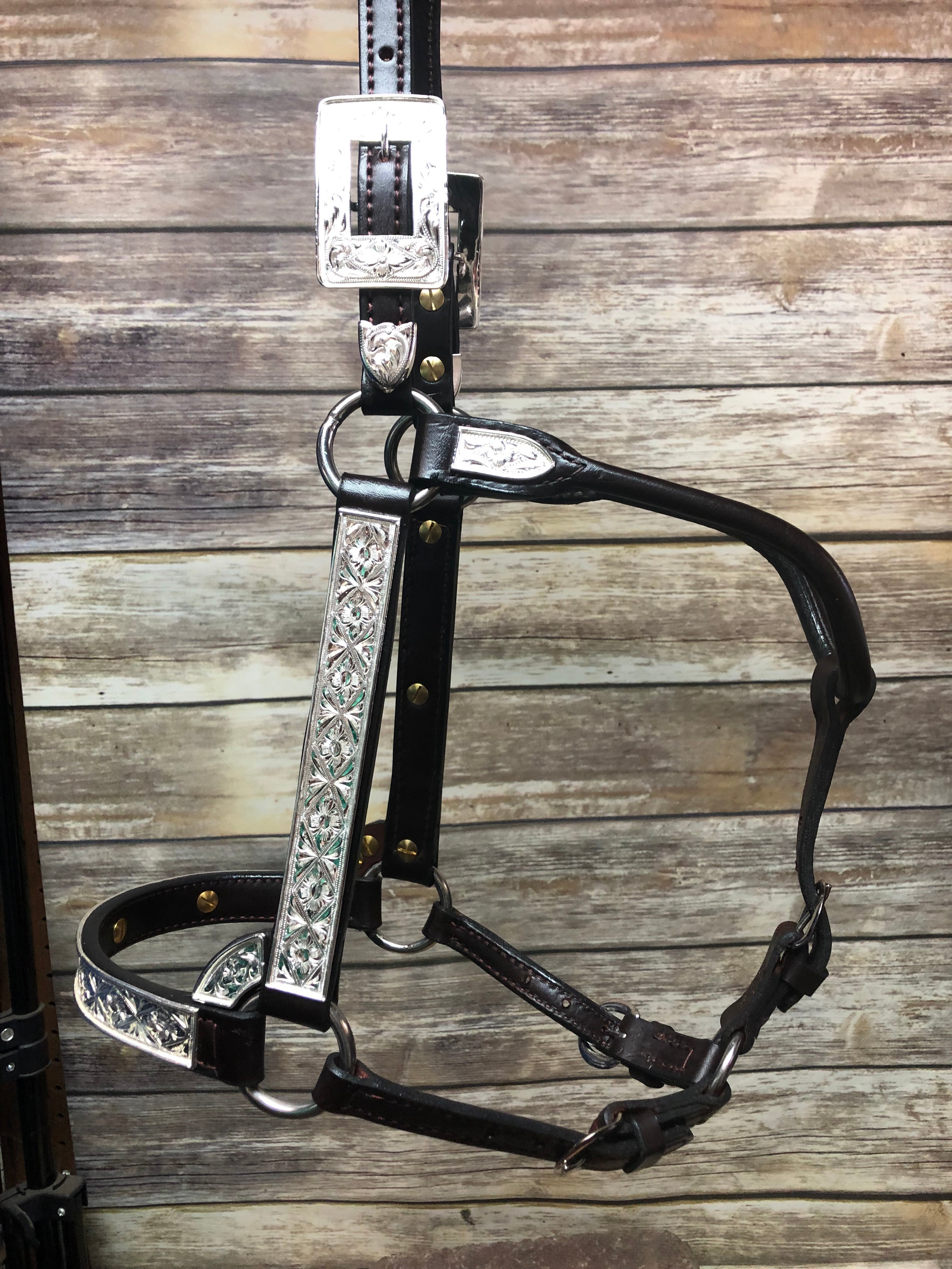 #104 Santana Halter