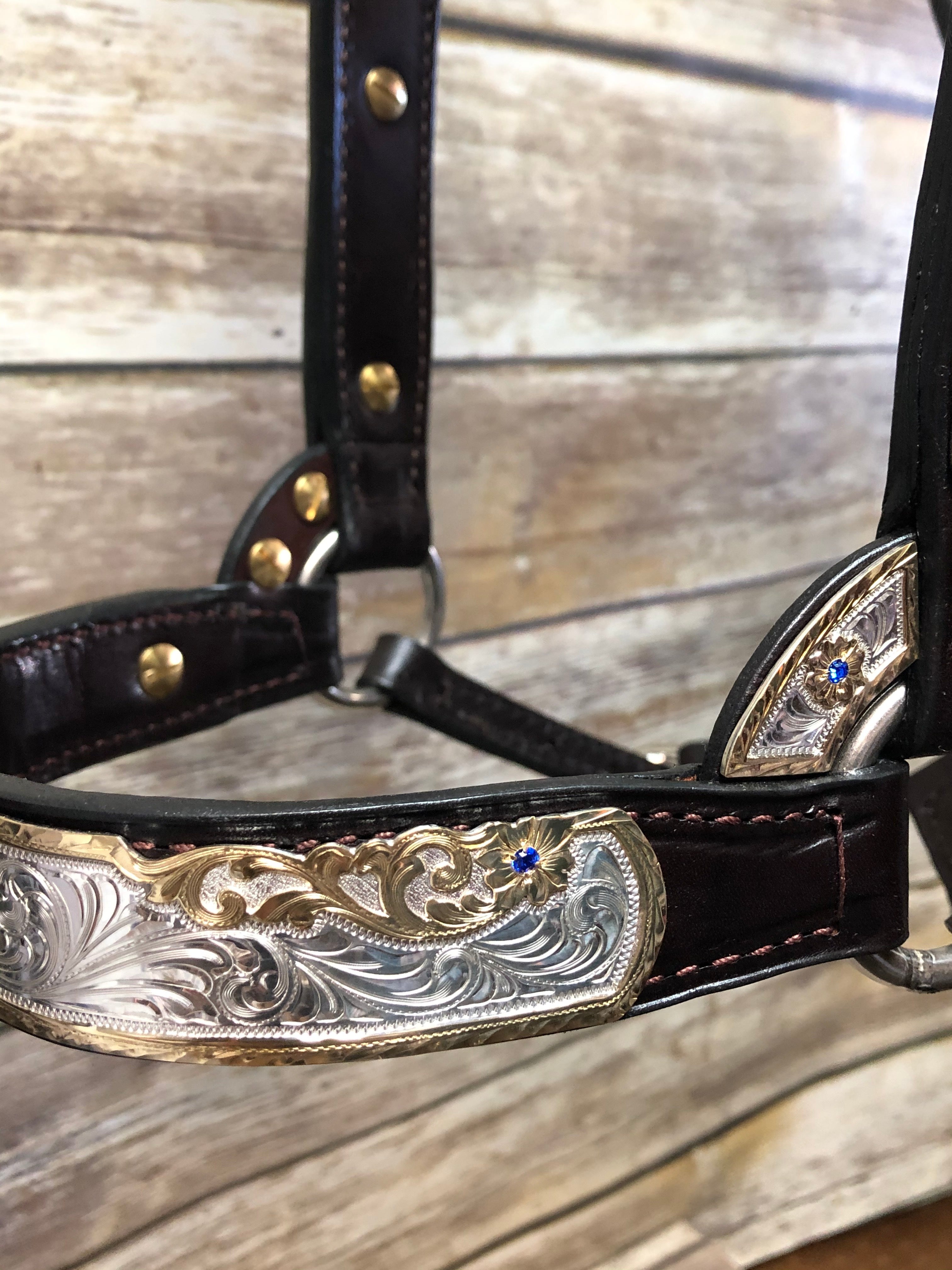 #20 Sterling Overlay Halter