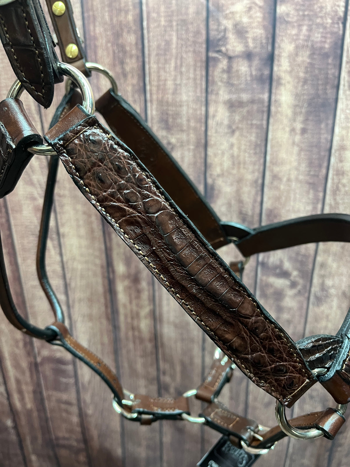 Caiman Halter #5 Horse