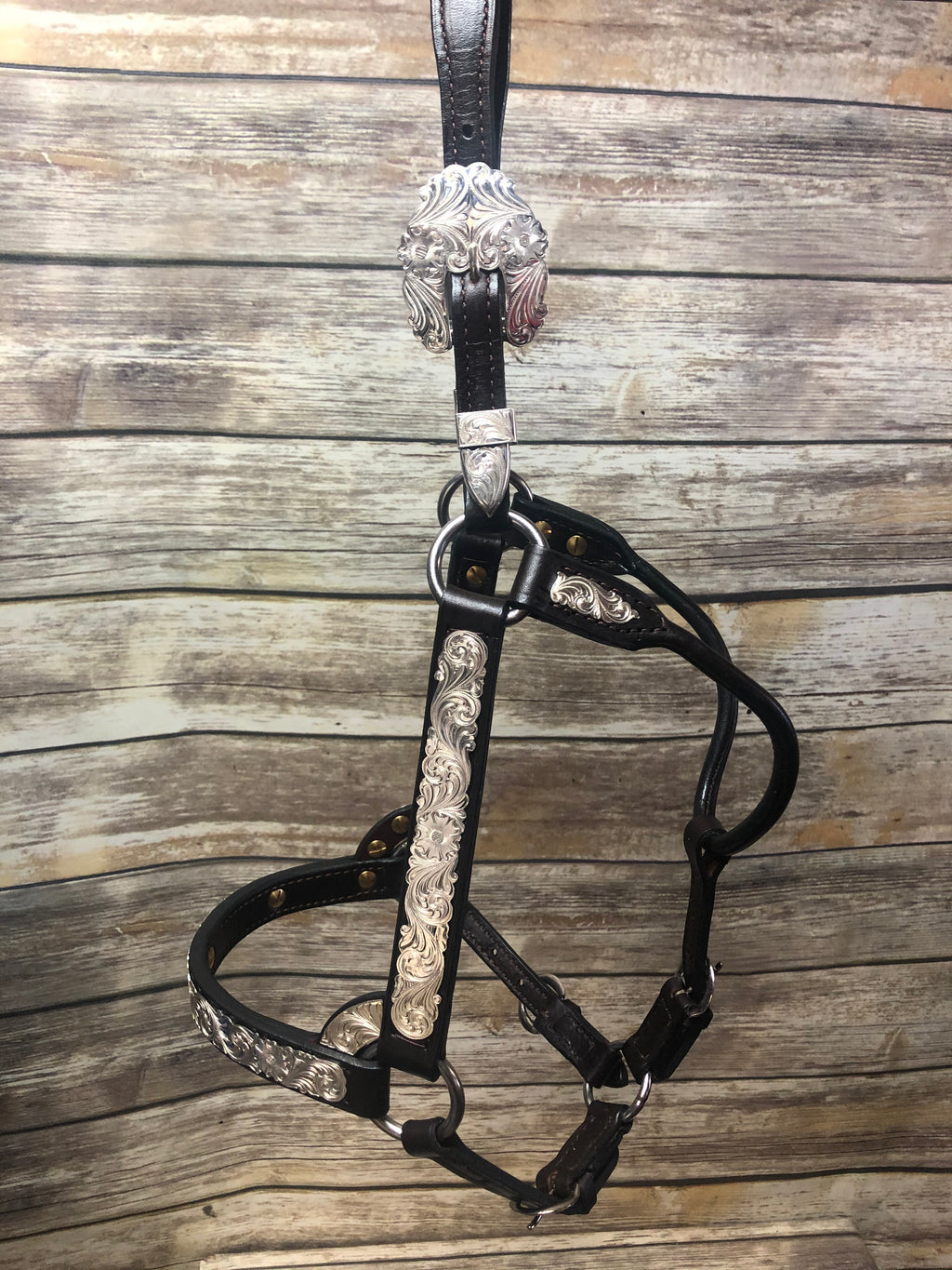 #17 Sterling Overlay Halter