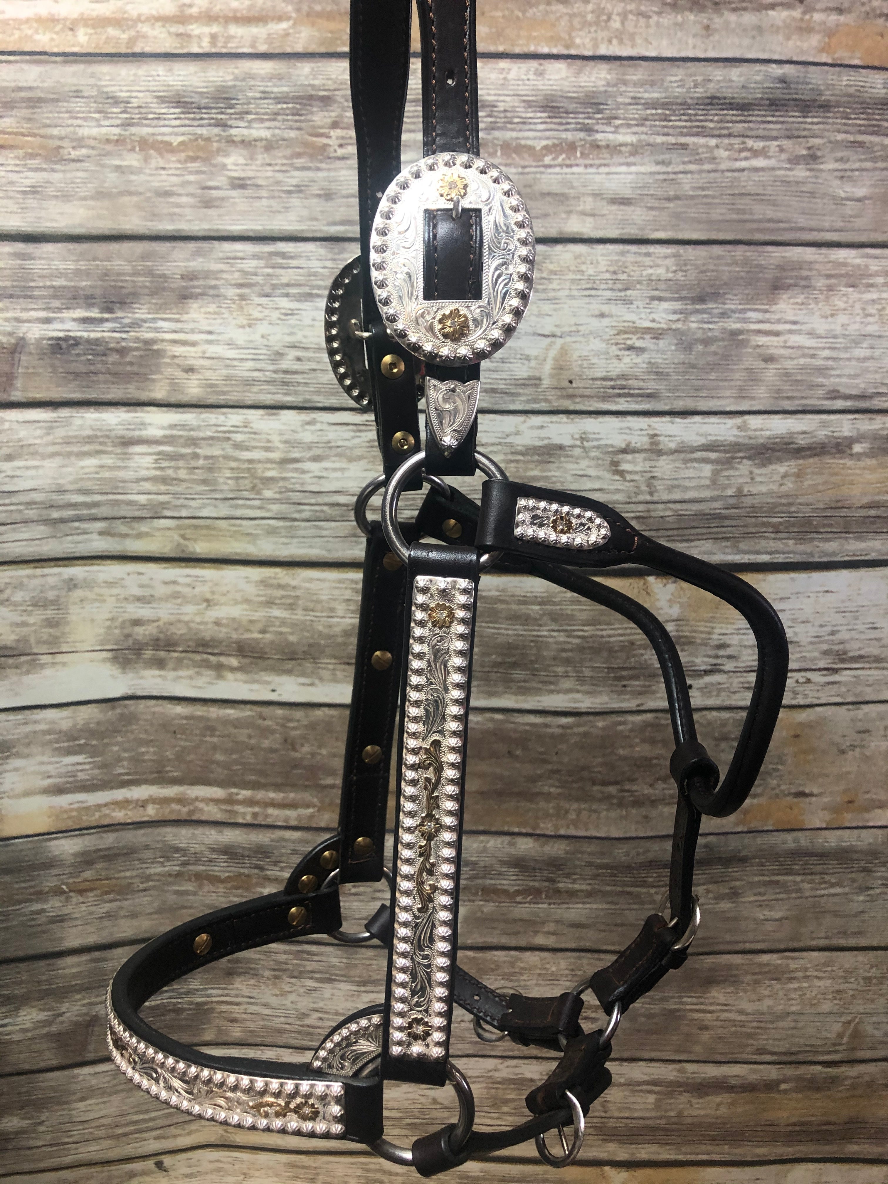 #25 Sterling Overlay Halter