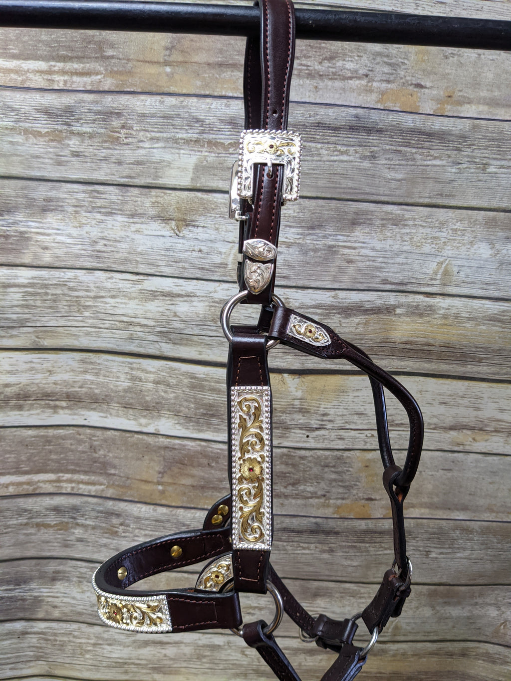 #258 Santana Halter