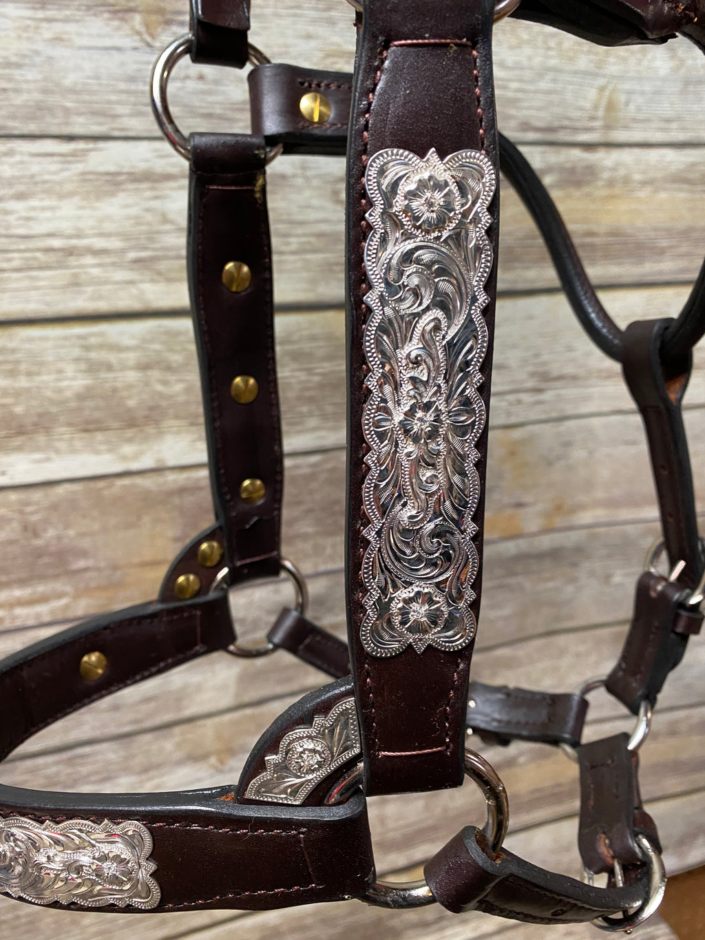 #22 Sterling Overlay Halter