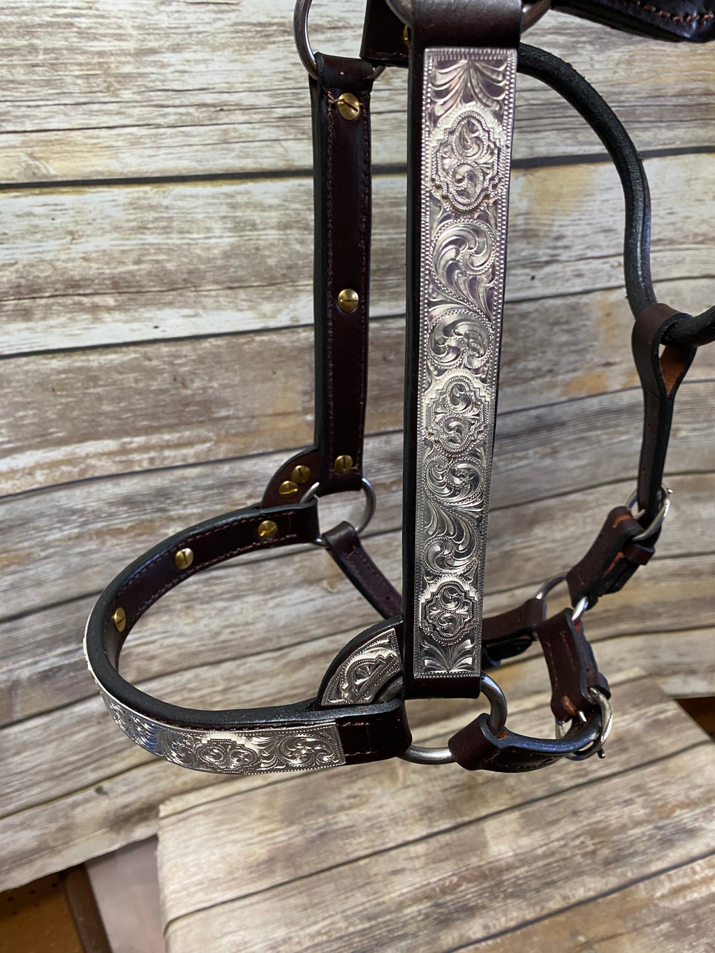 #110 Santana Halter