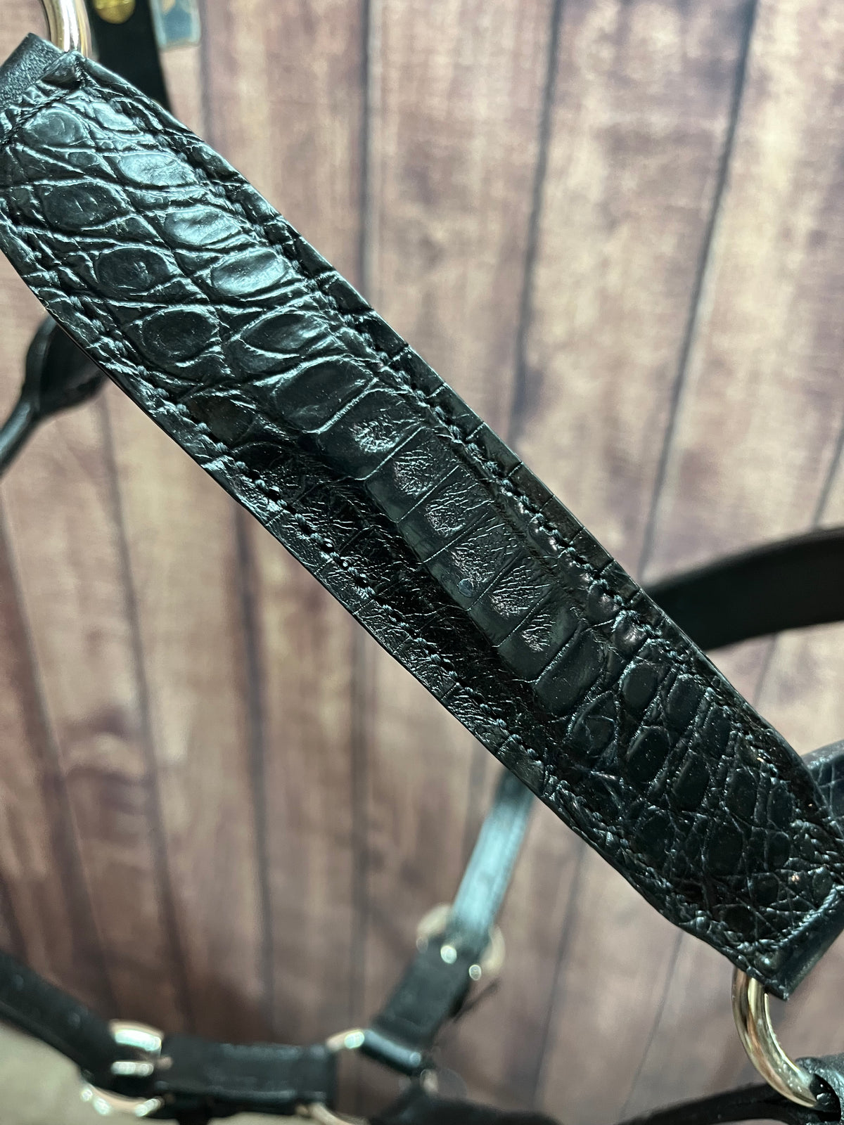 Caiman Halter #3 2Yr/Mare