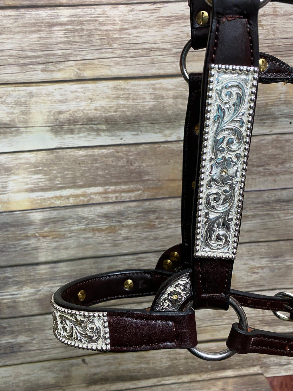 #259 Santana Halter