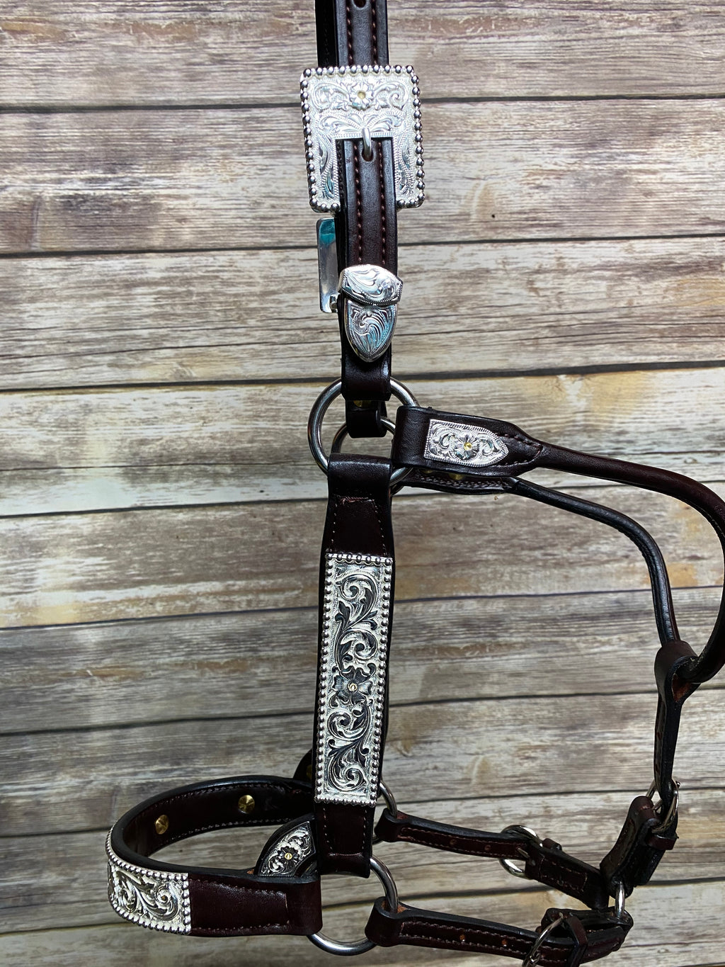#259 Santana Halter
