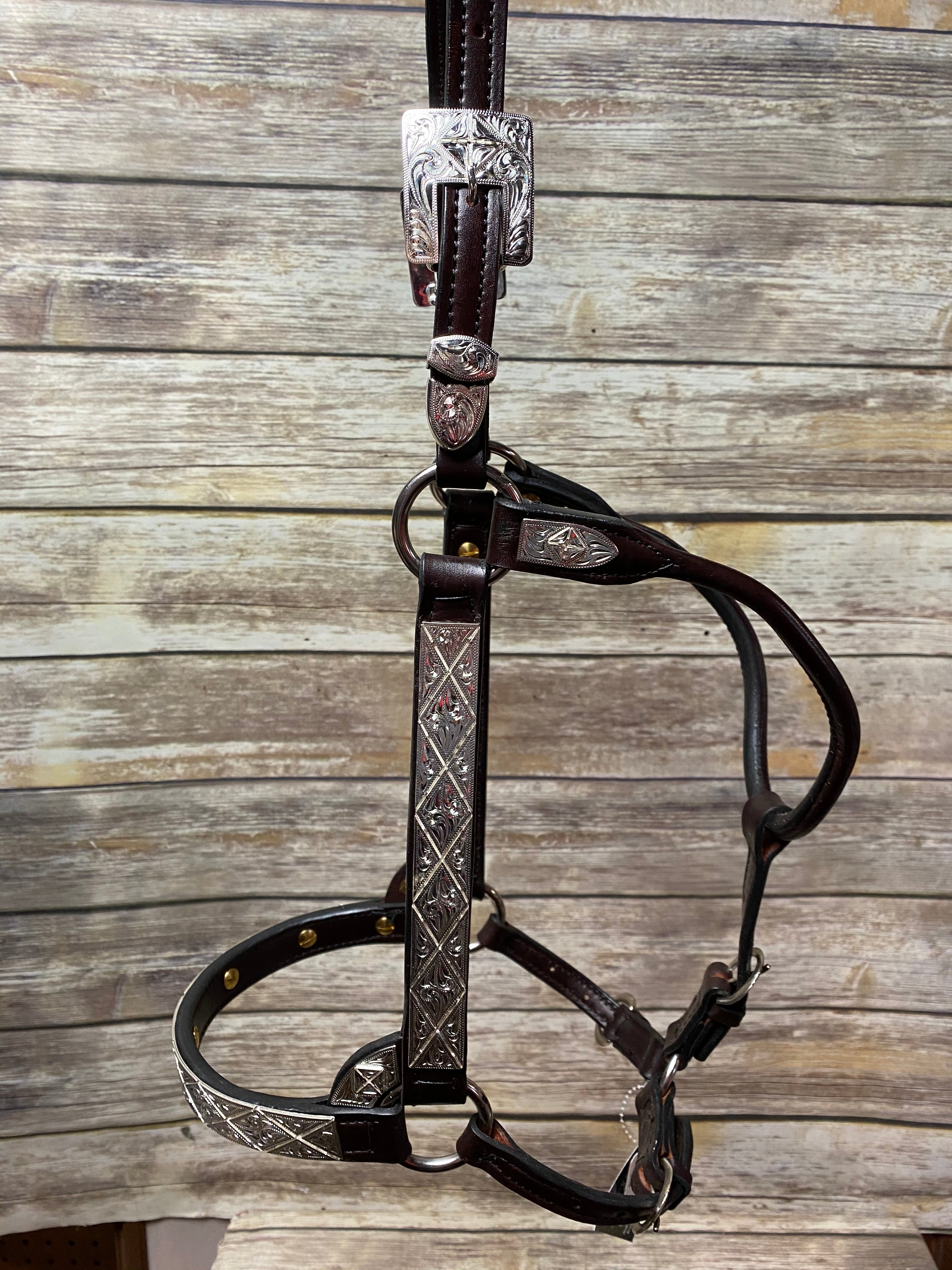 #107 Santana Halter