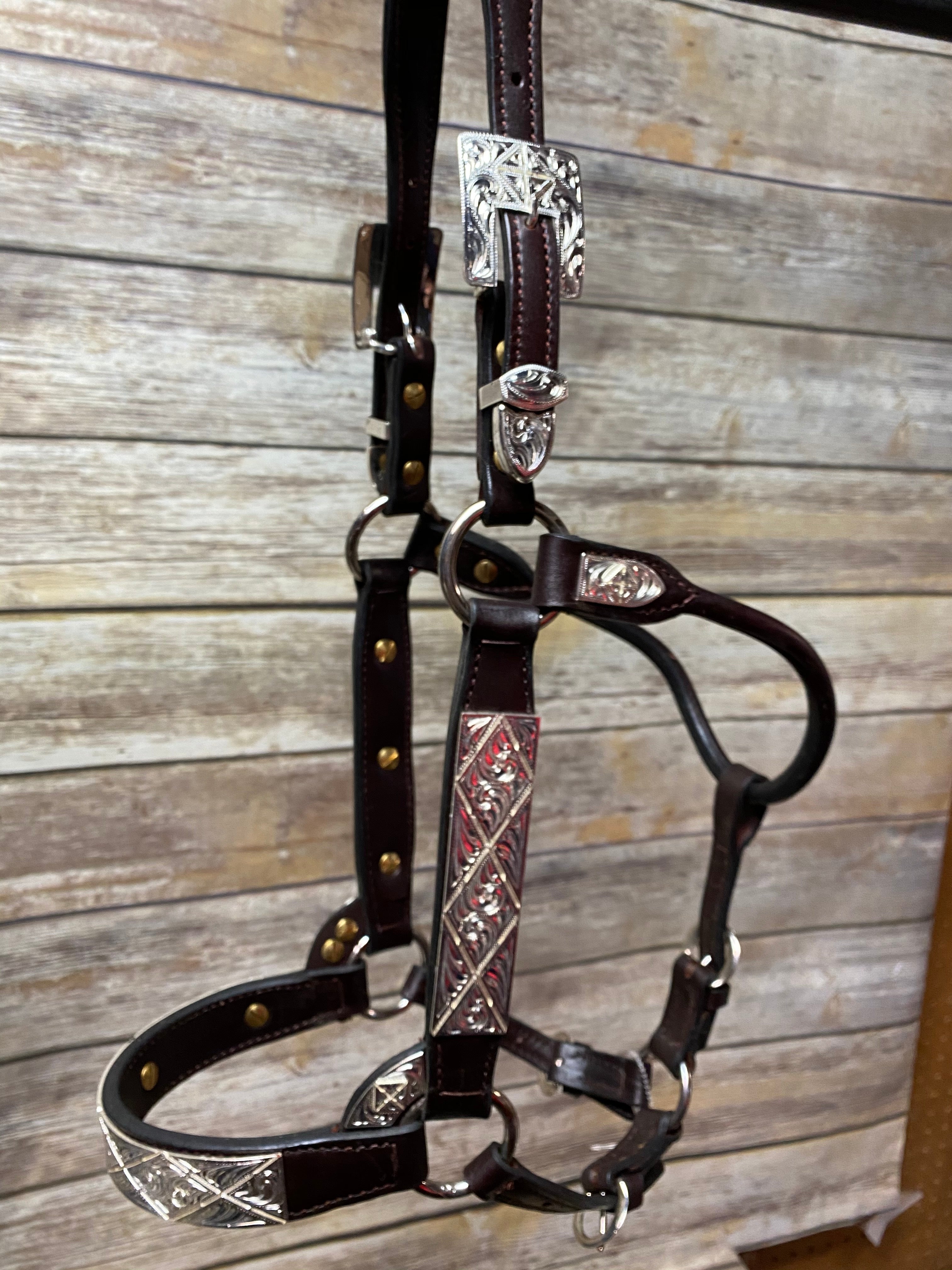 #107 Santana Halter