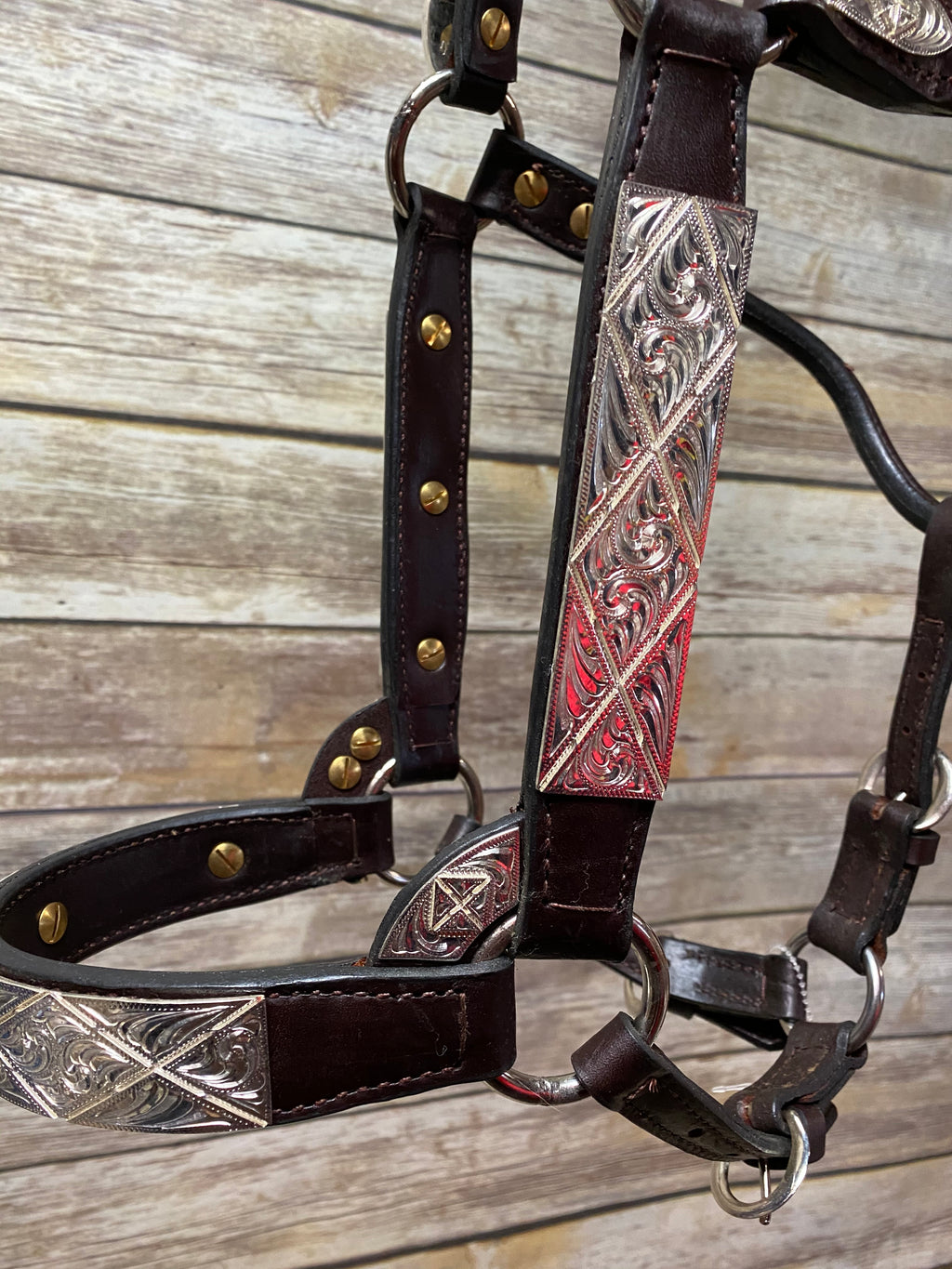 #107 Santana Halter