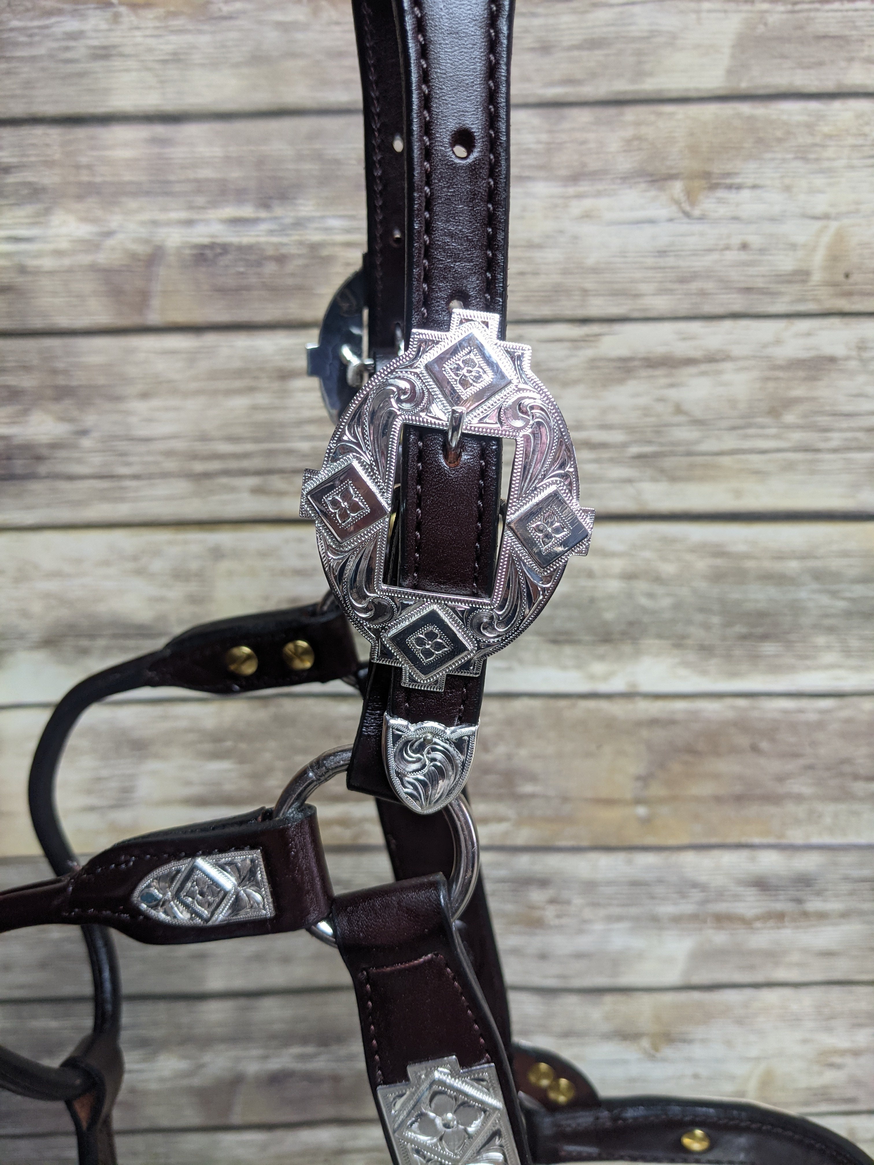 #105 Santana Halter