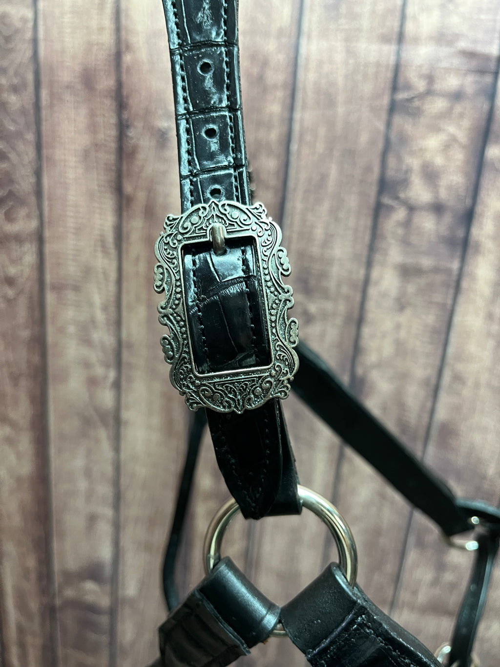 Caiman Halter #15 Large Horse