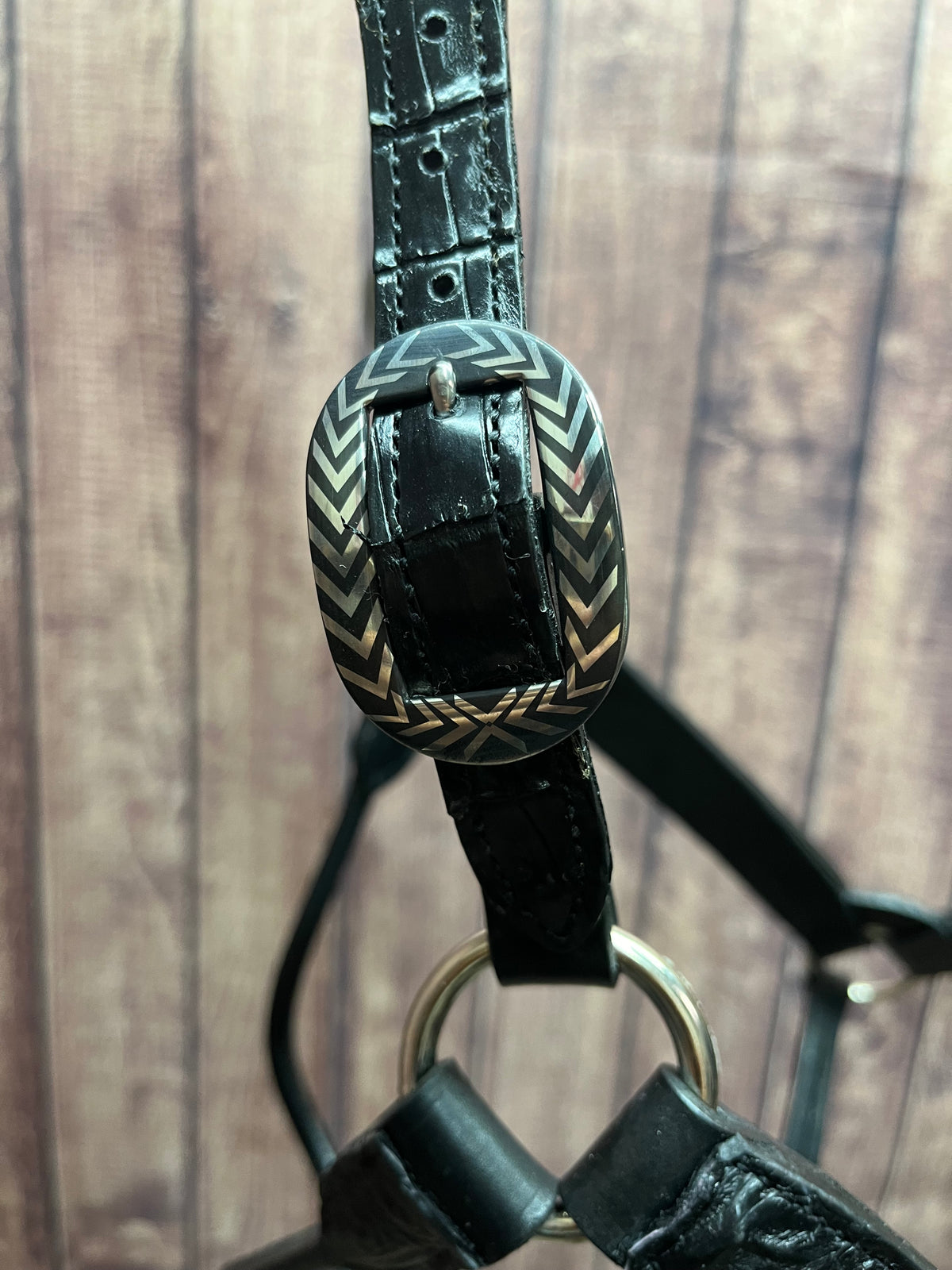 Caiman Halter #7 Horse