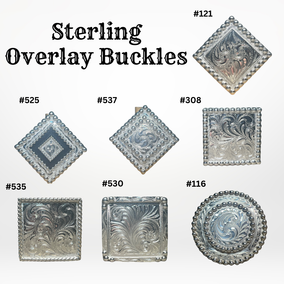 Sterling Overlay Headstall #2