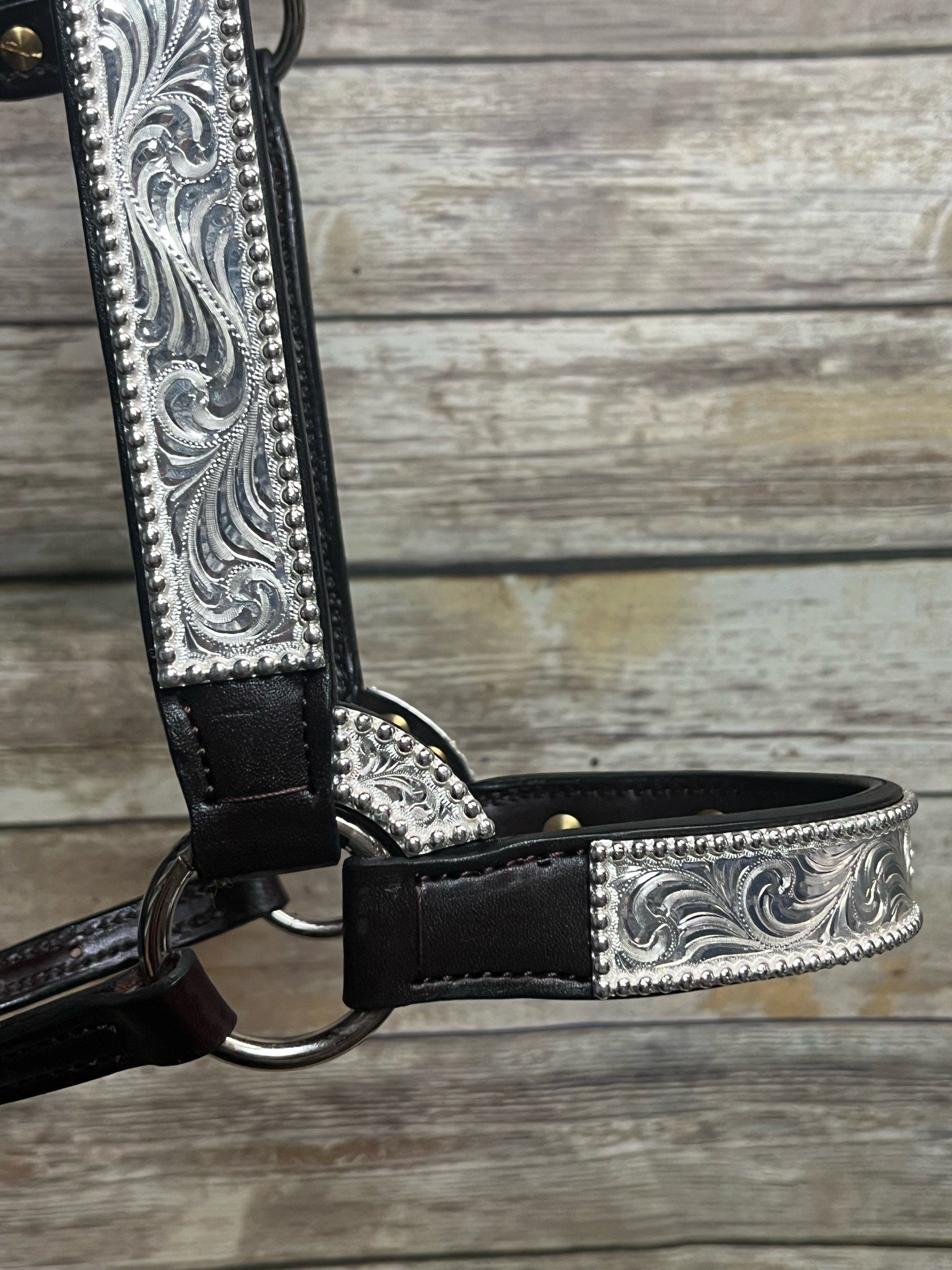 #106 Santana Halter