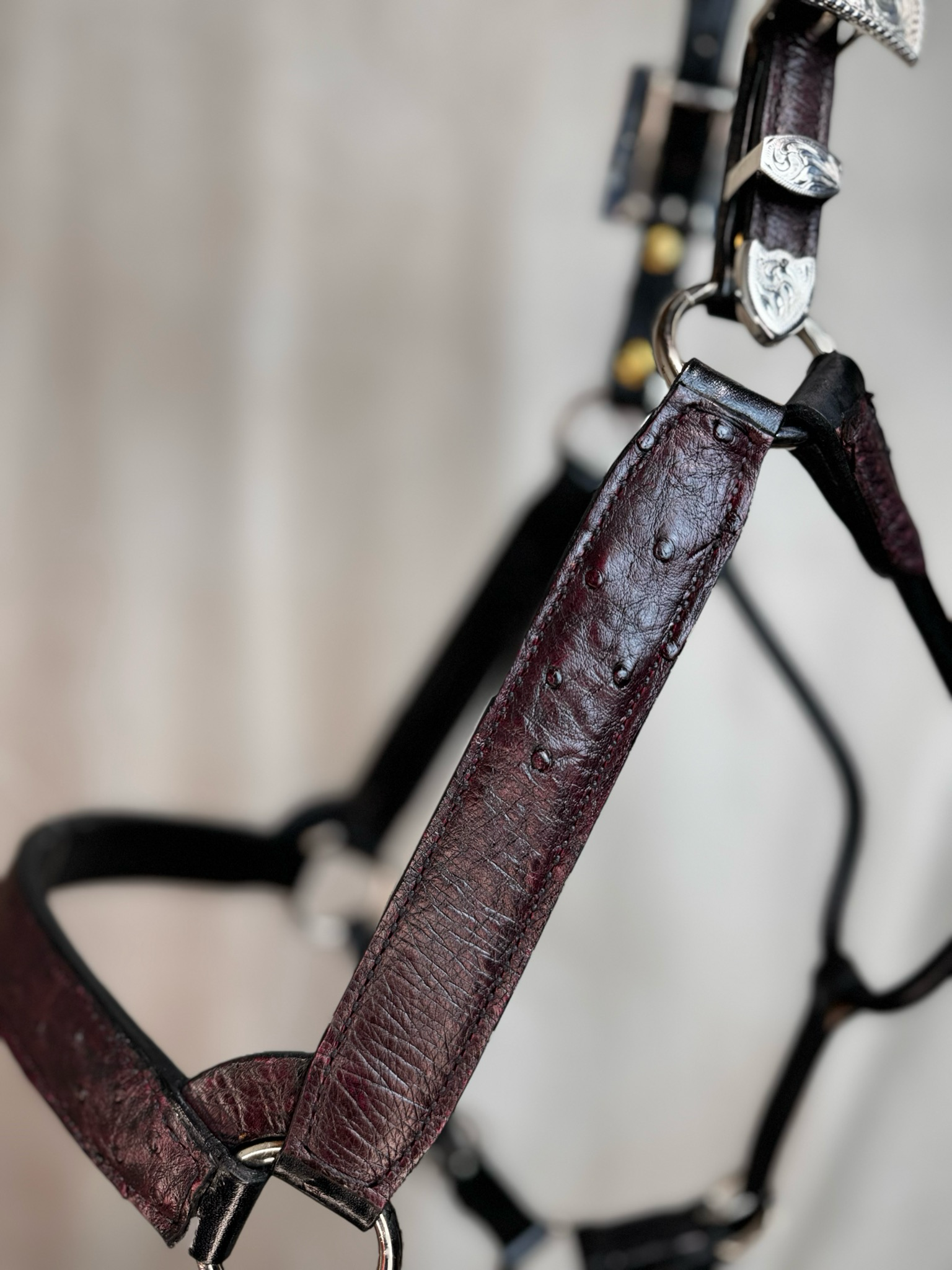 Ostrich Halter