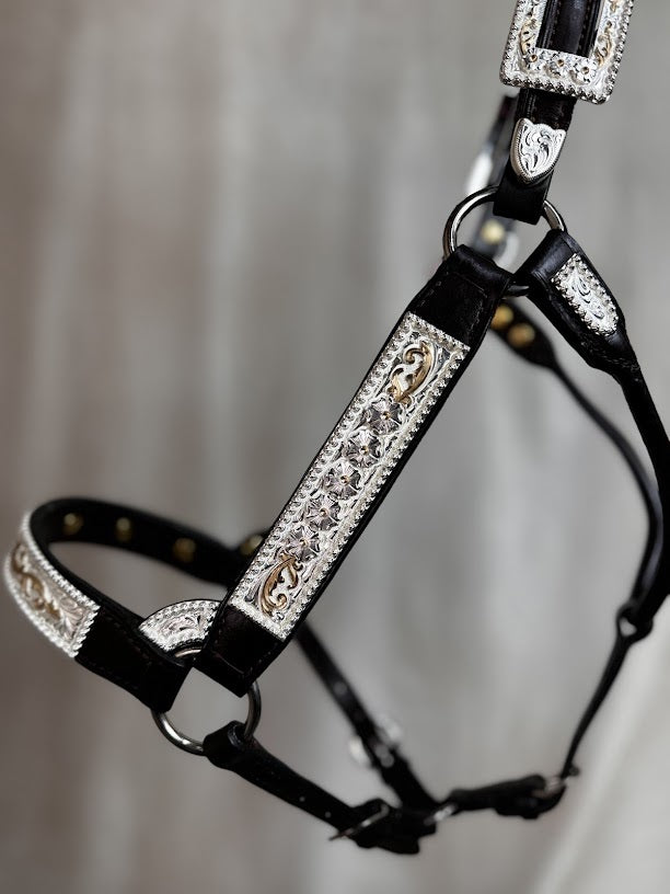 #432 Santana Halter