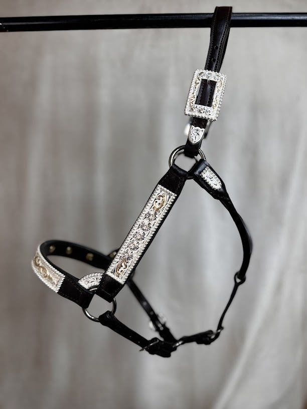 #432 Santana Halter