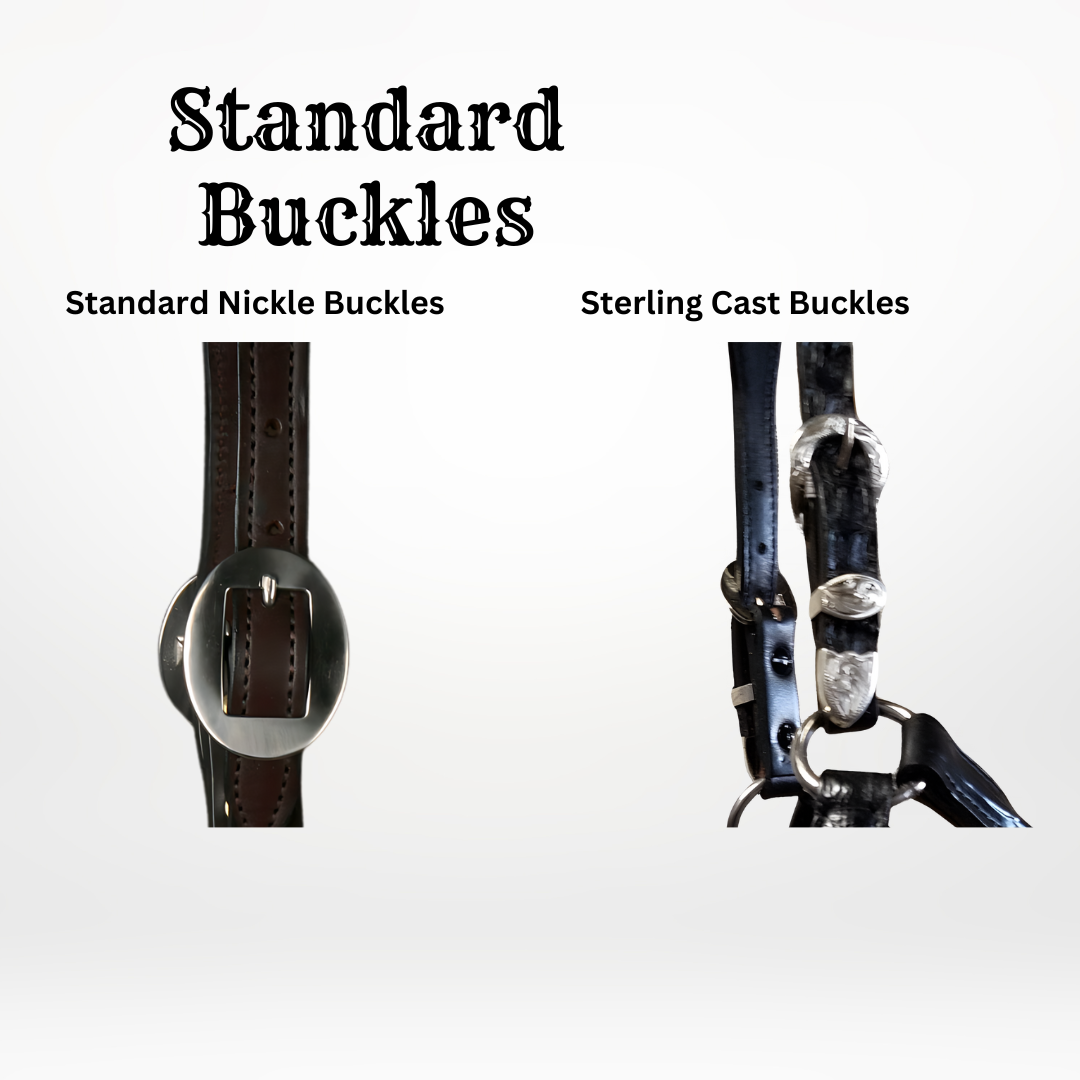 English Show Halter with Rolled Accent