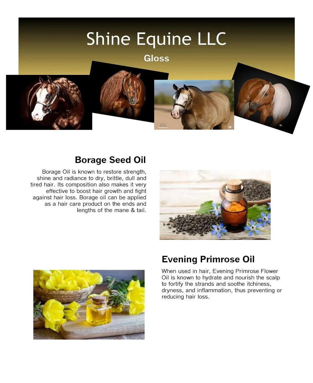 Shine Equine Gloss