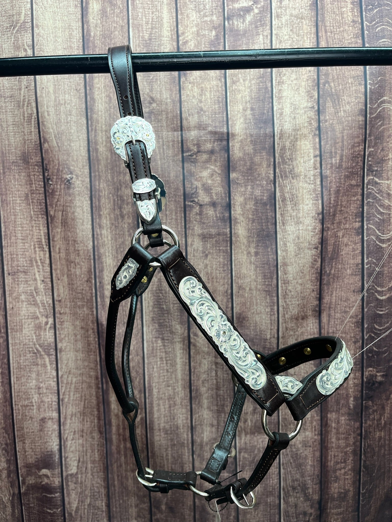 #435 Santana Halter