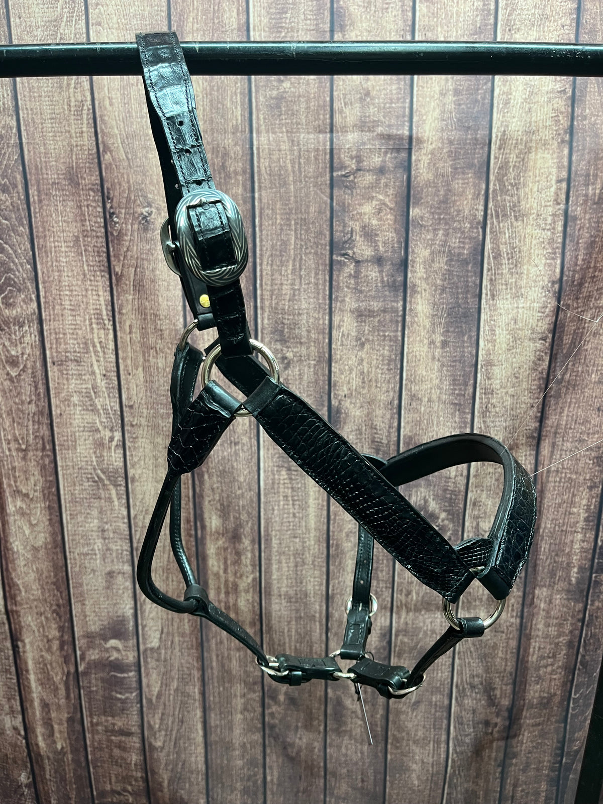 Caiman Halter #16 Horse