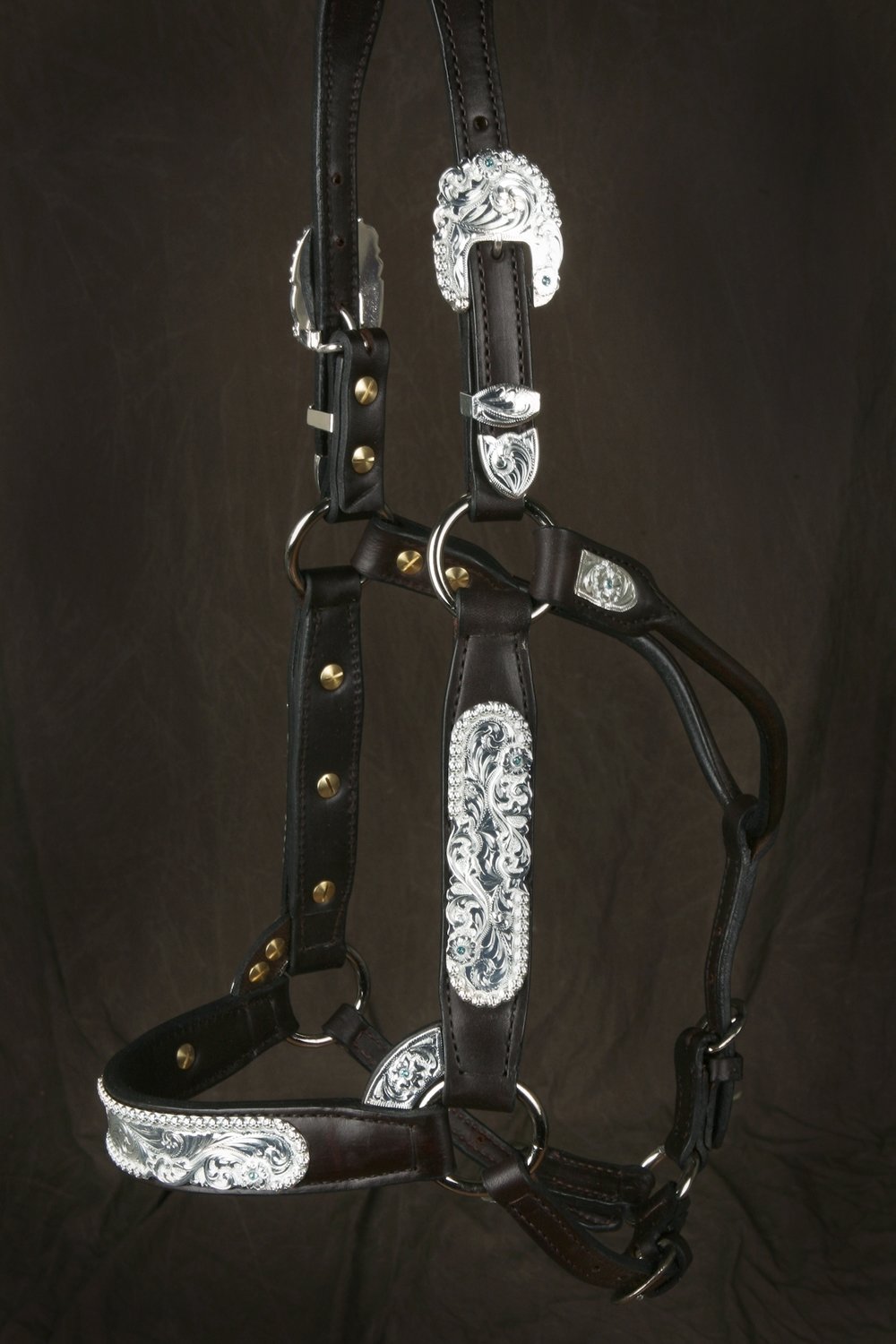 #205 Santana Halter