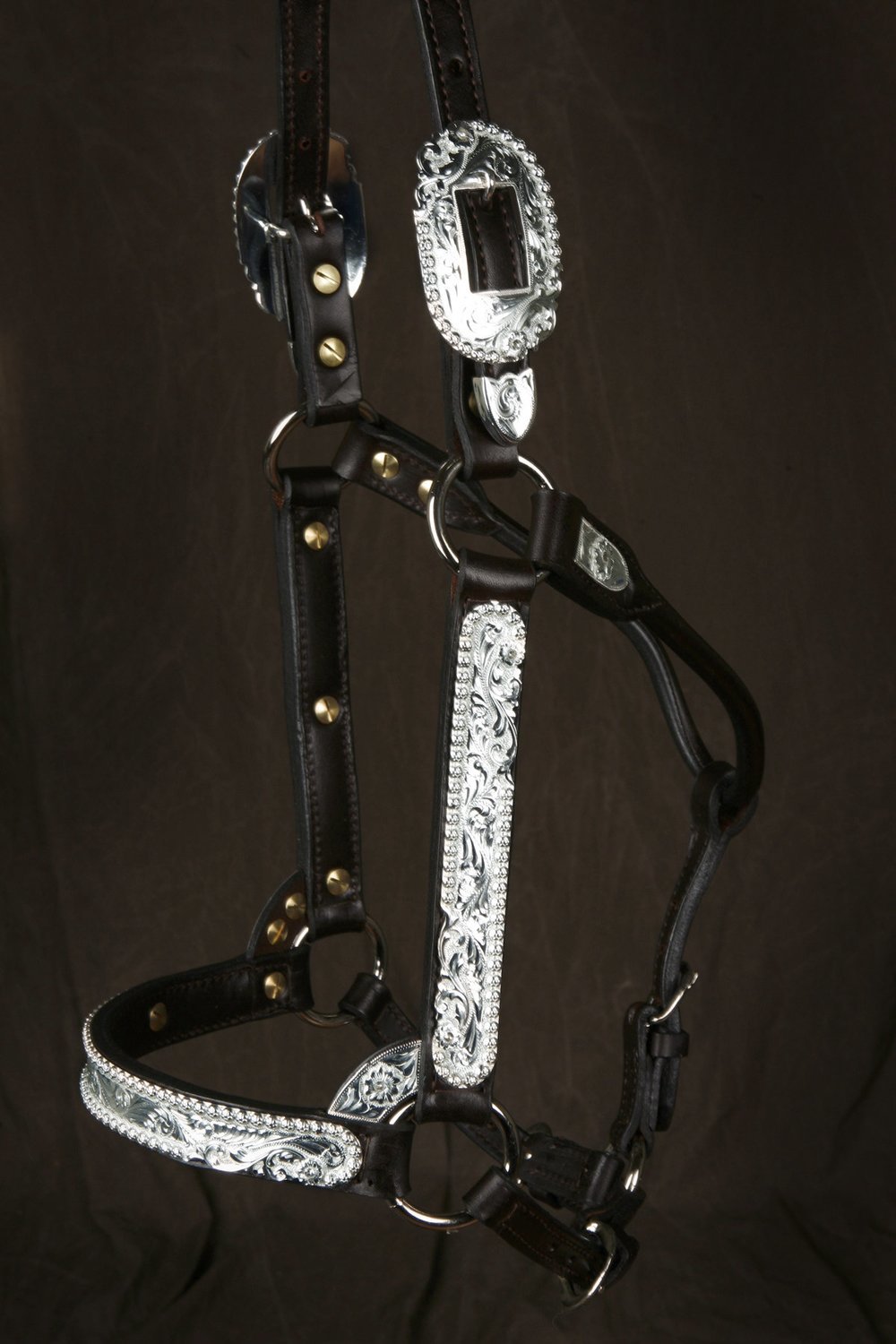 #205 Santana Halter