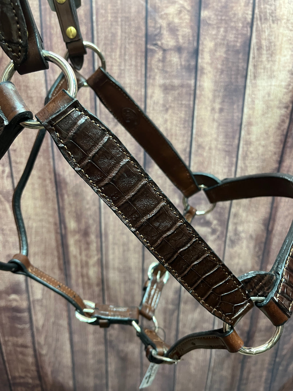 Caiman Halter #4 Horse