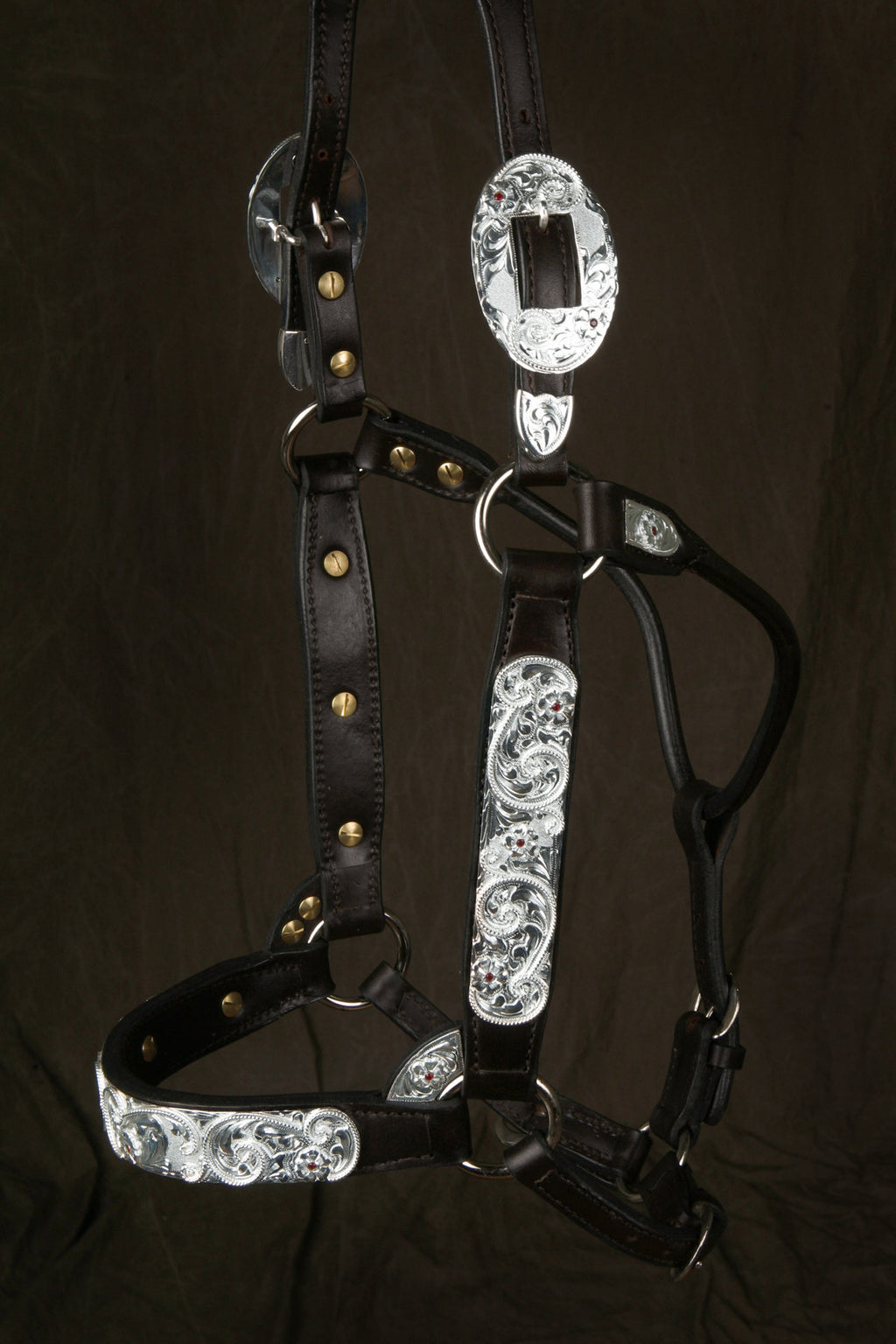 #285 Santana Halter