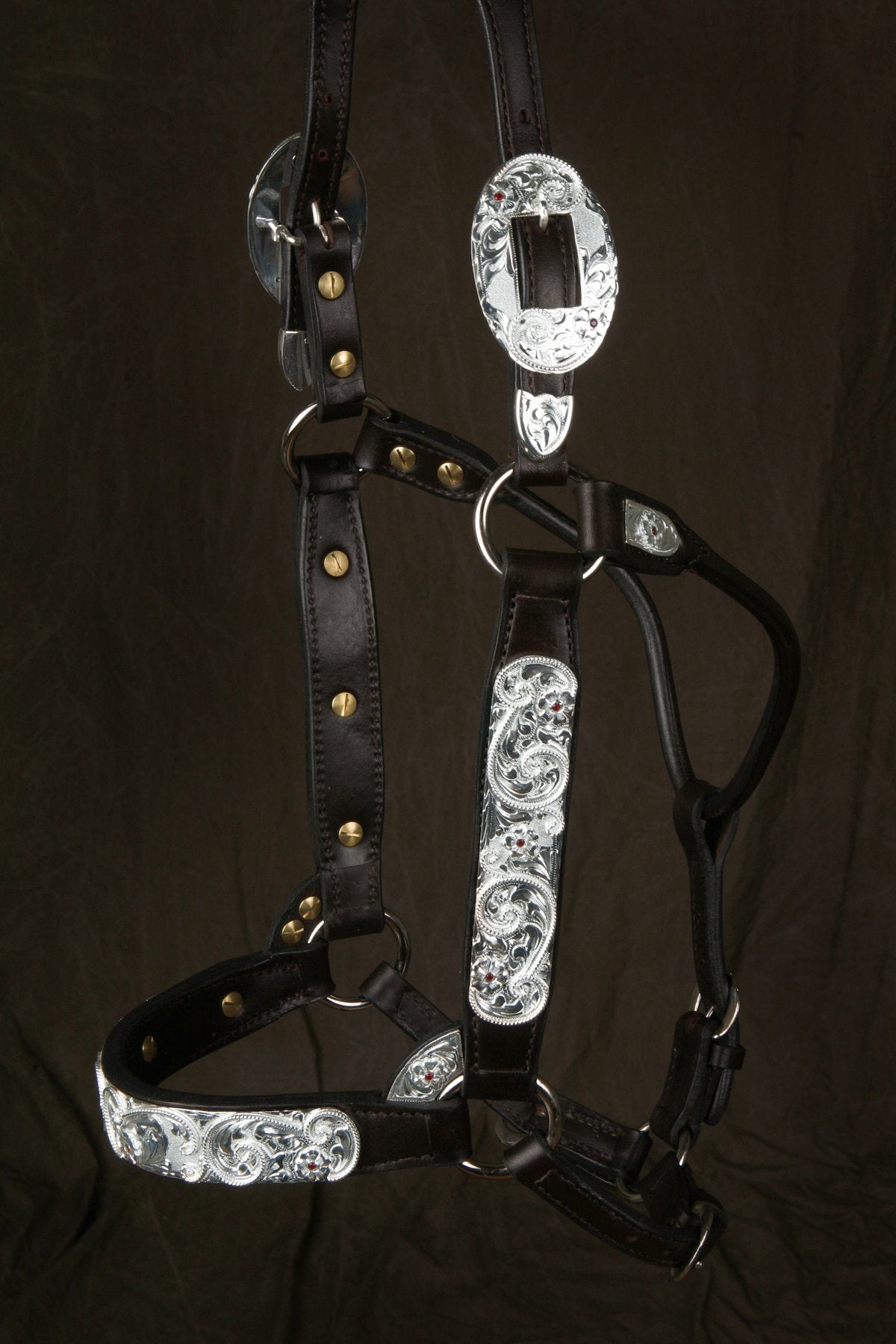 #285 Santana Halter