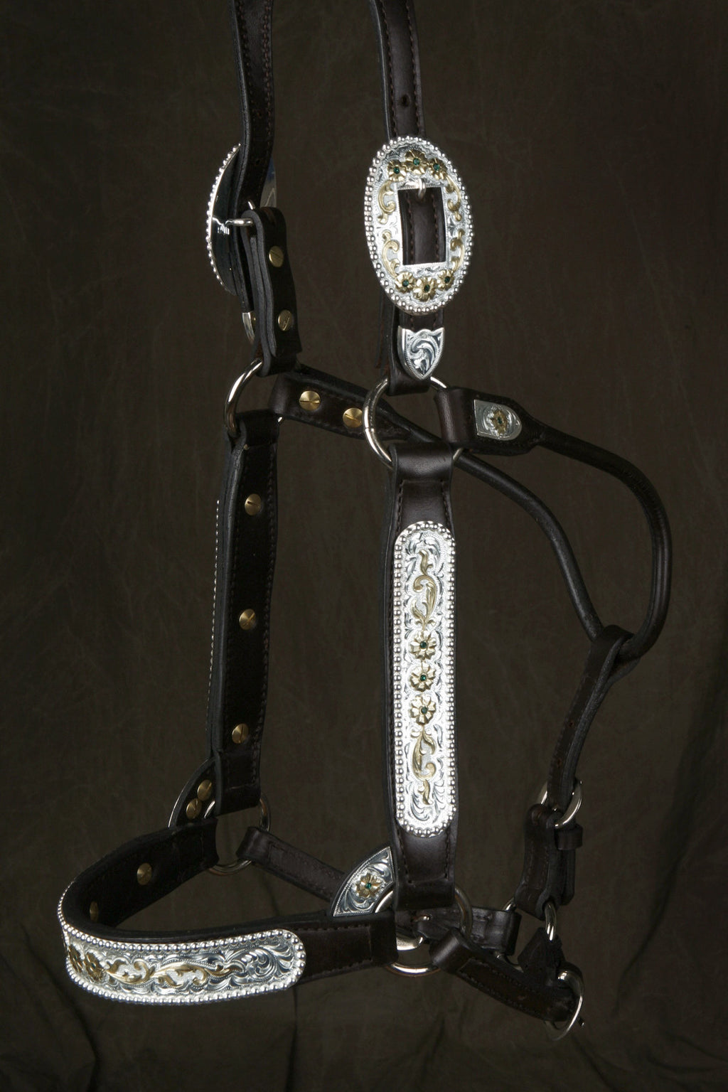 #290 Santana Halter