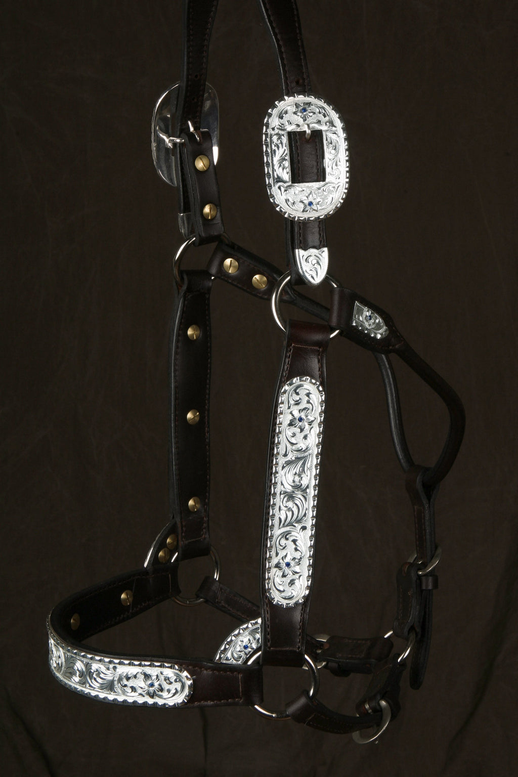#311 Santana Halter