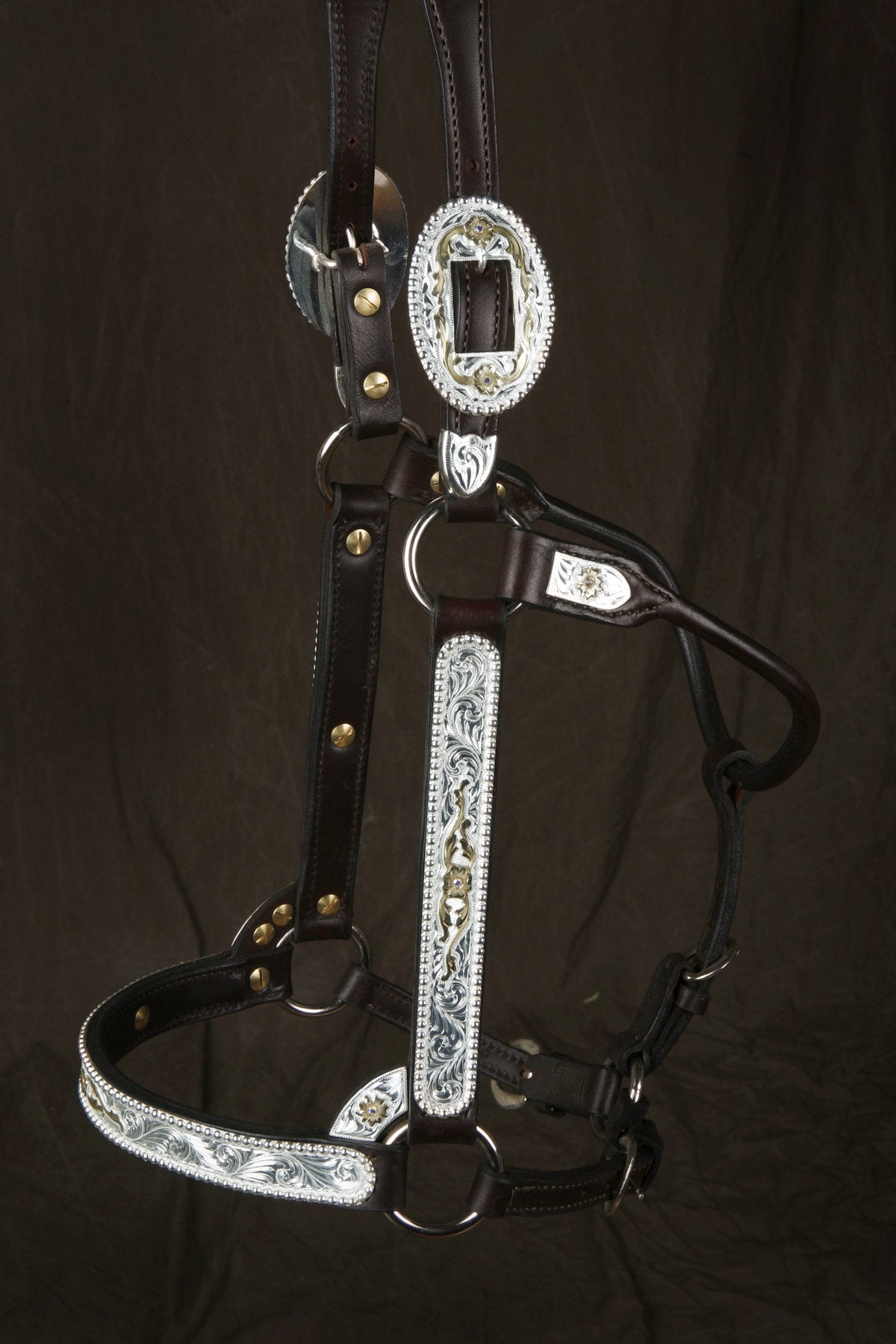 #225 Santana Halter