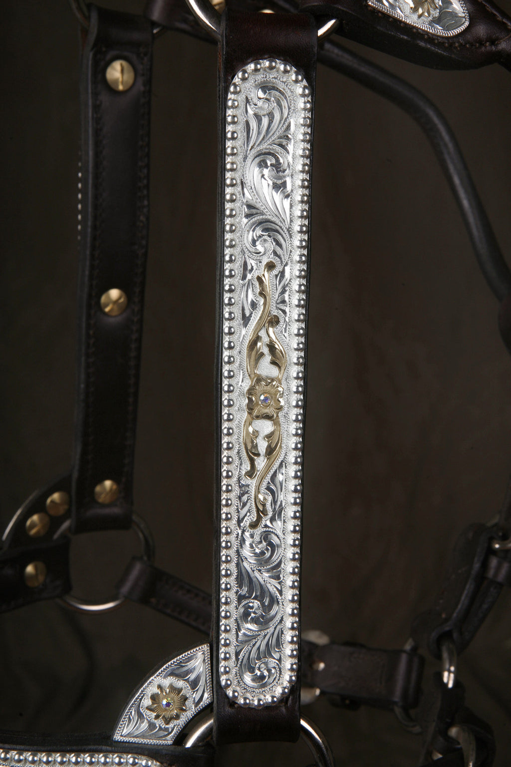 #225 Santana Halter