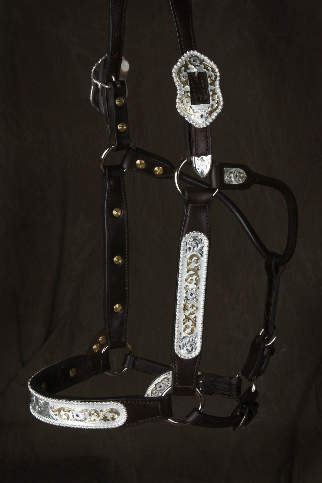 #250 Santana Halter