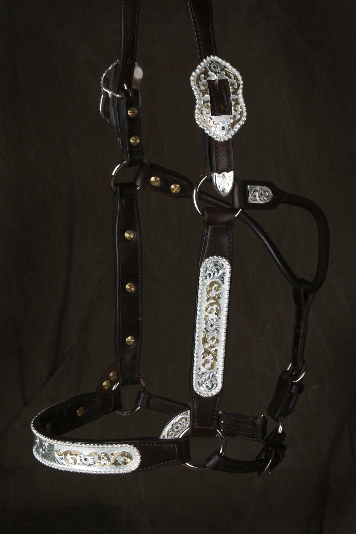 #250 Santana Halter