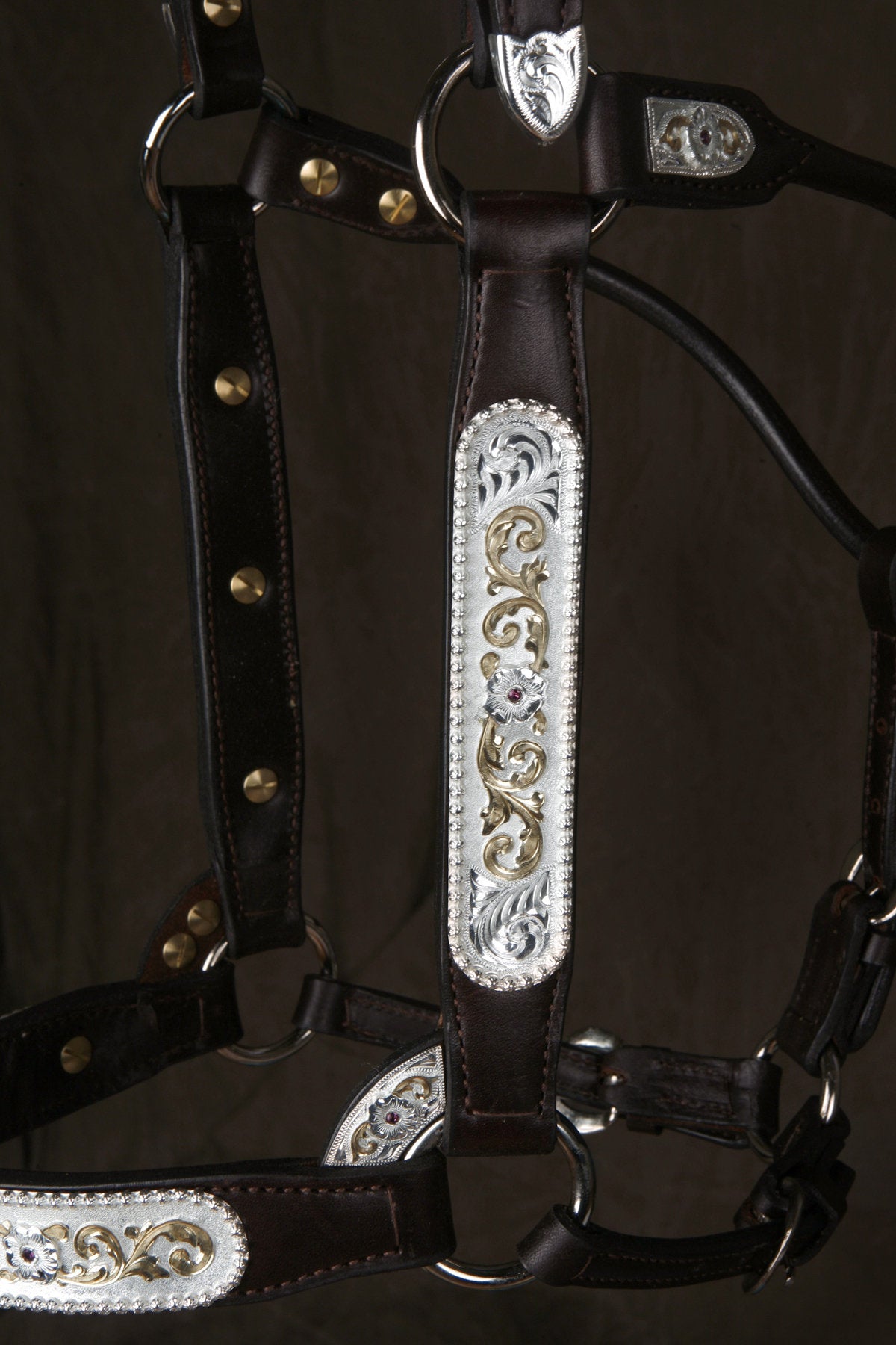 #250 Santana Halter