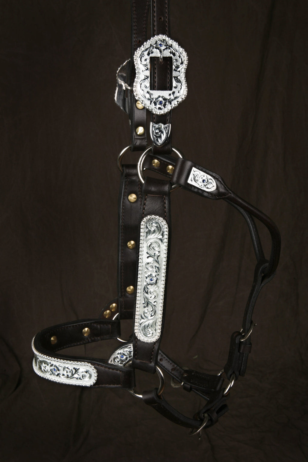 #255 Santana Halter
