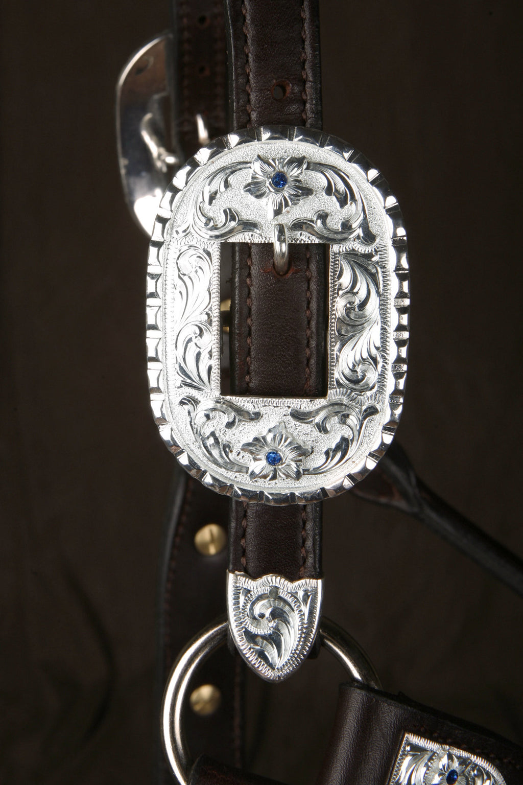 #311 Santana Halter