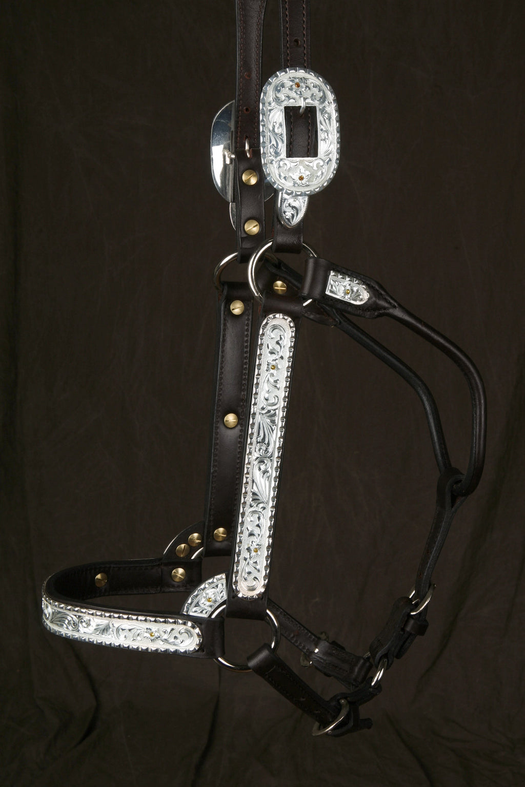#311 Santana Halter