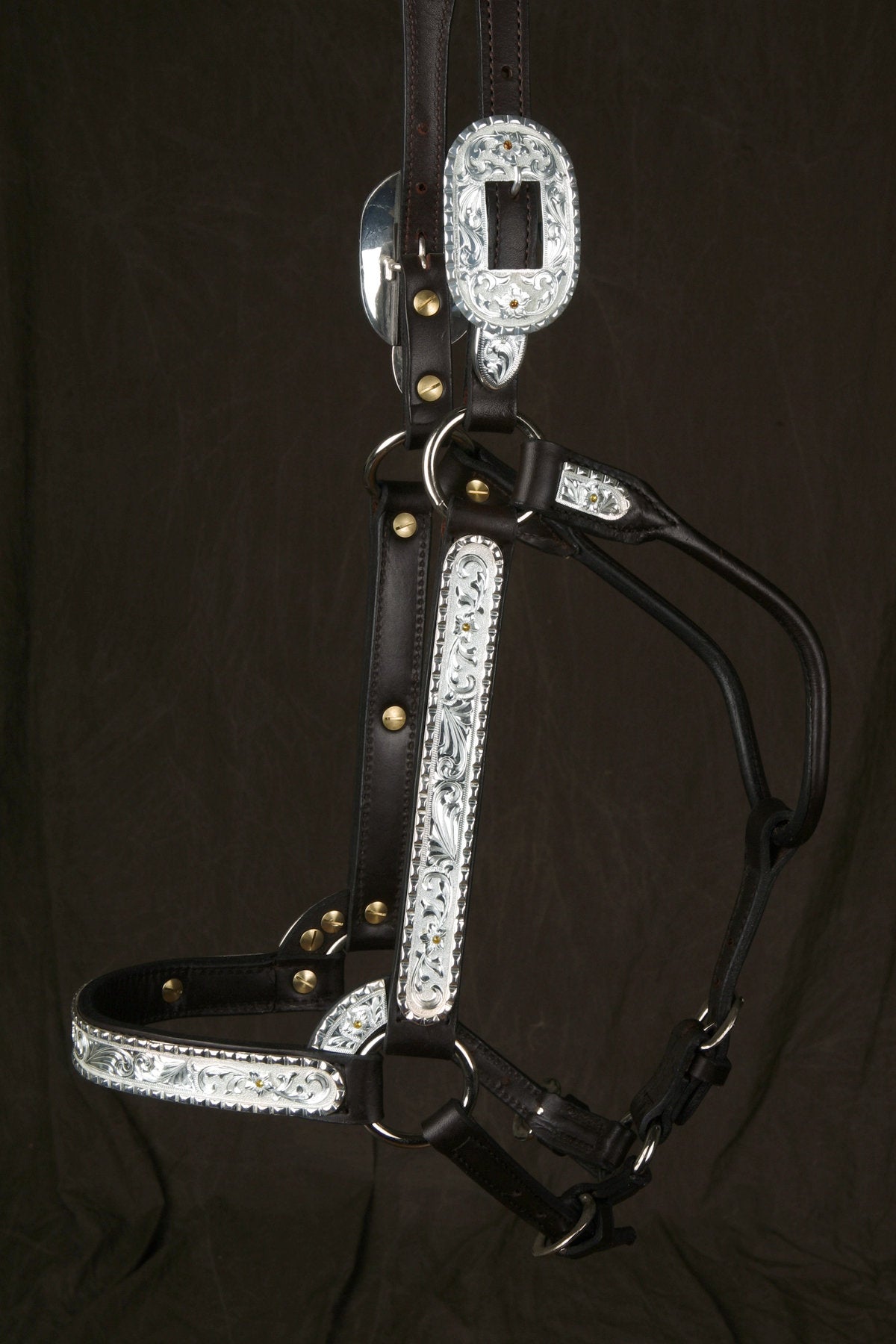 #311 Santana Halter